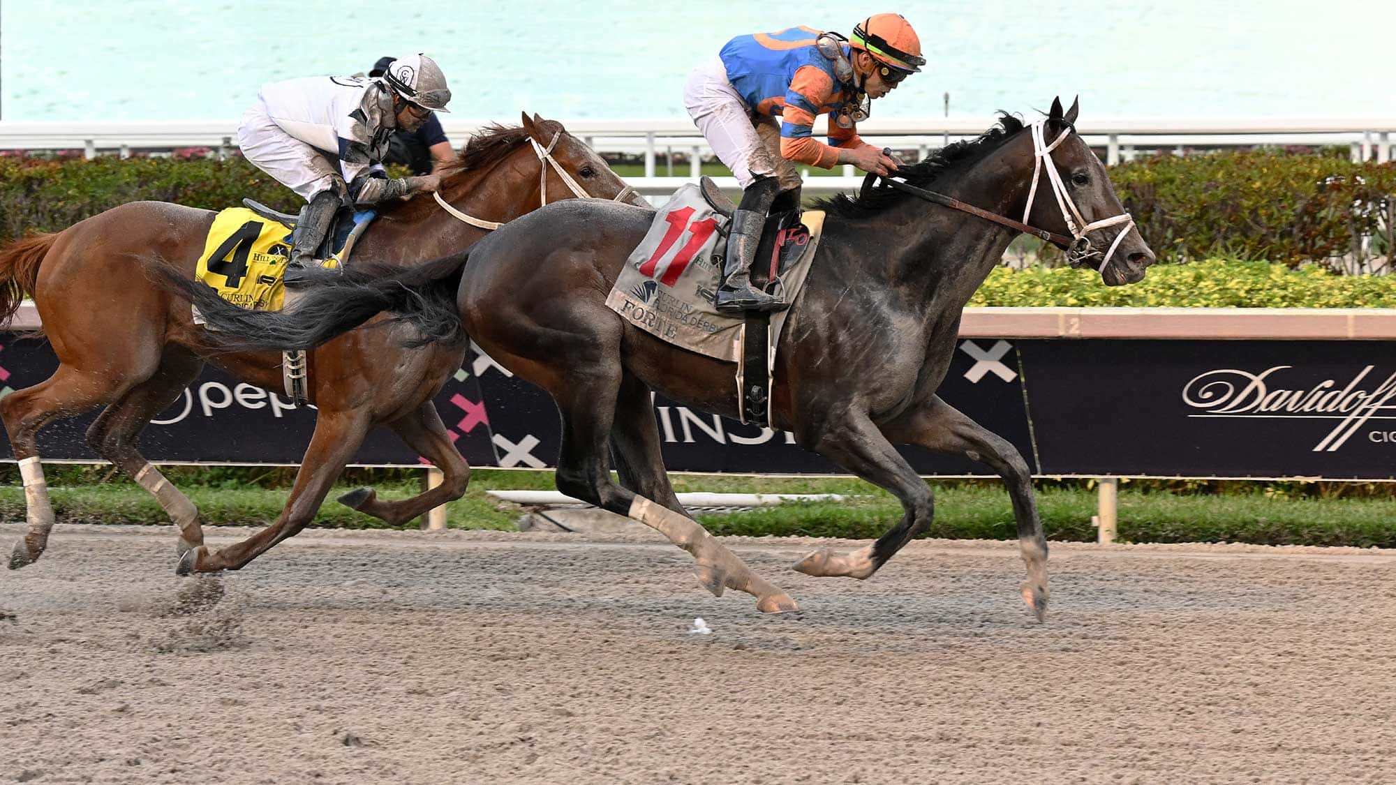 Forte ‘Looks Very Well’ Following Florida Derby (G1) Victory