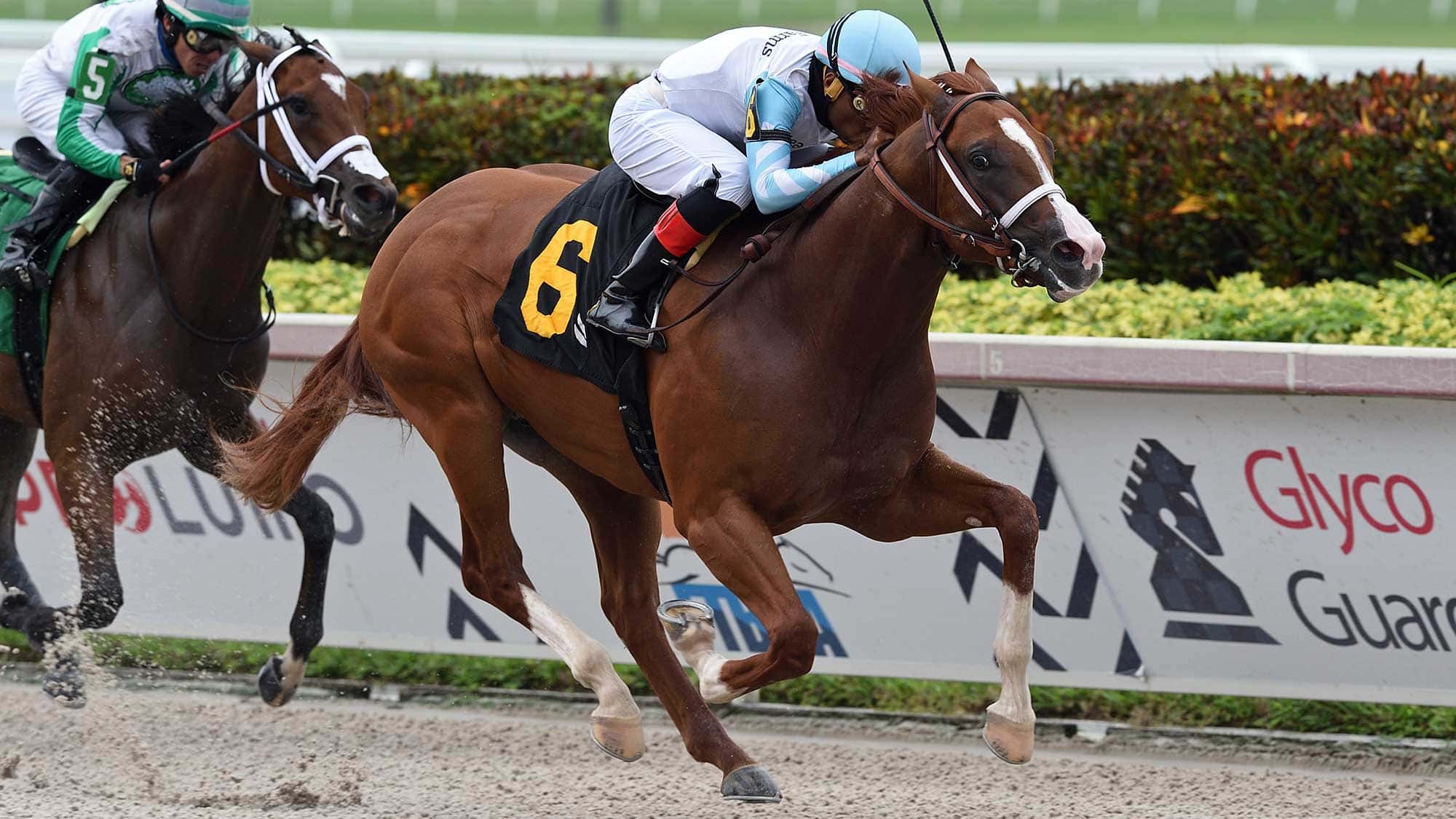 Lightening-Larry-11-25-22