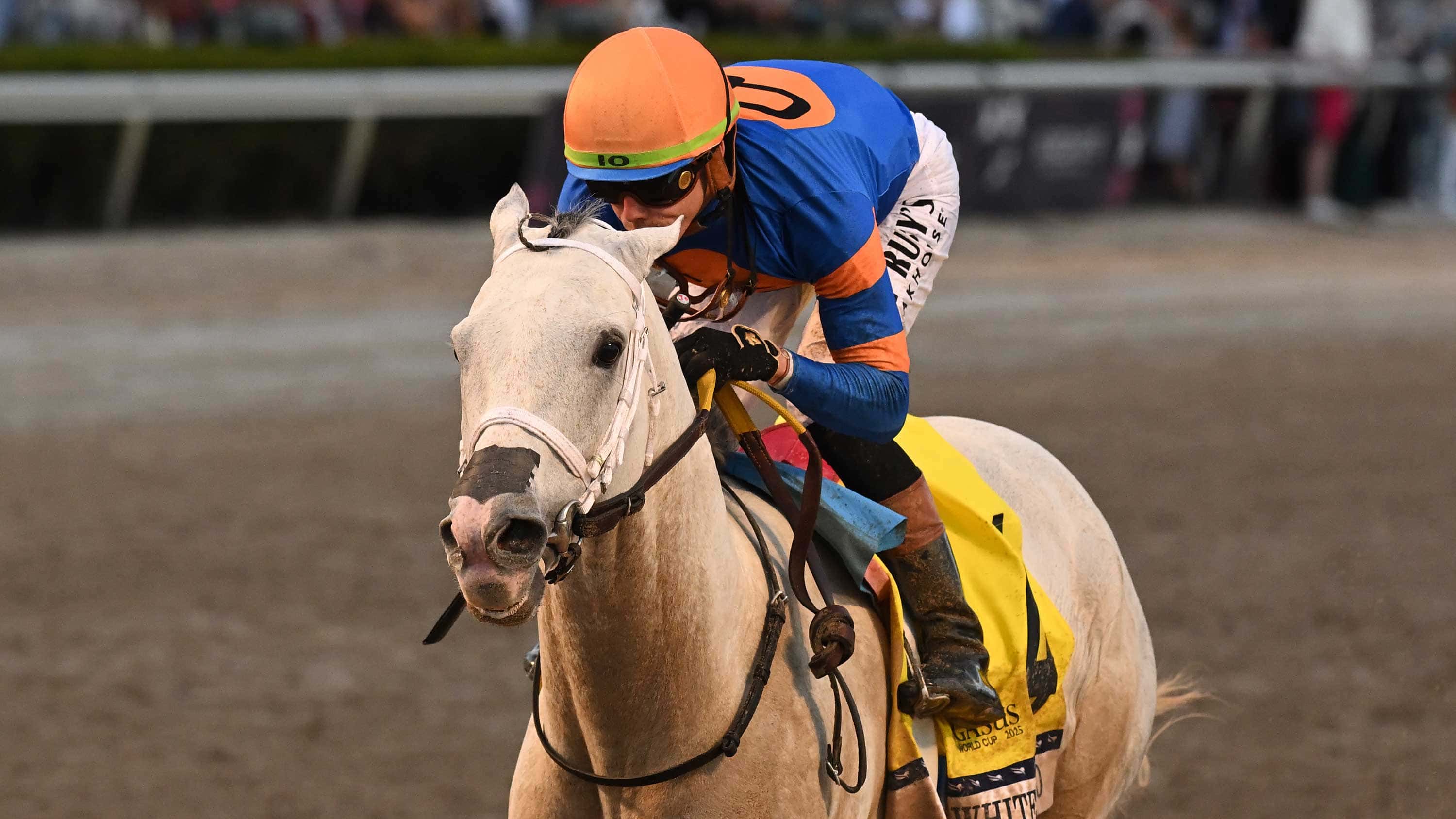 White-Abarrio-the-Pegasus-01