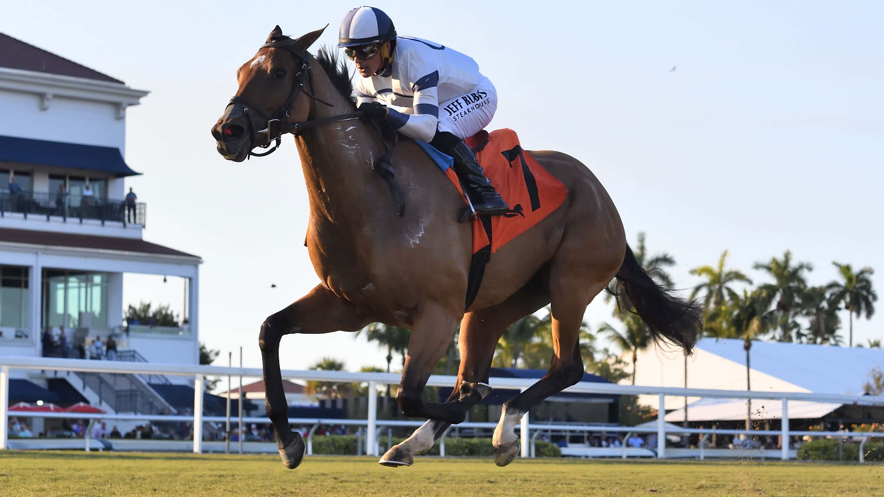 Moon-Spun-the-Ladies-Turf-Sprint