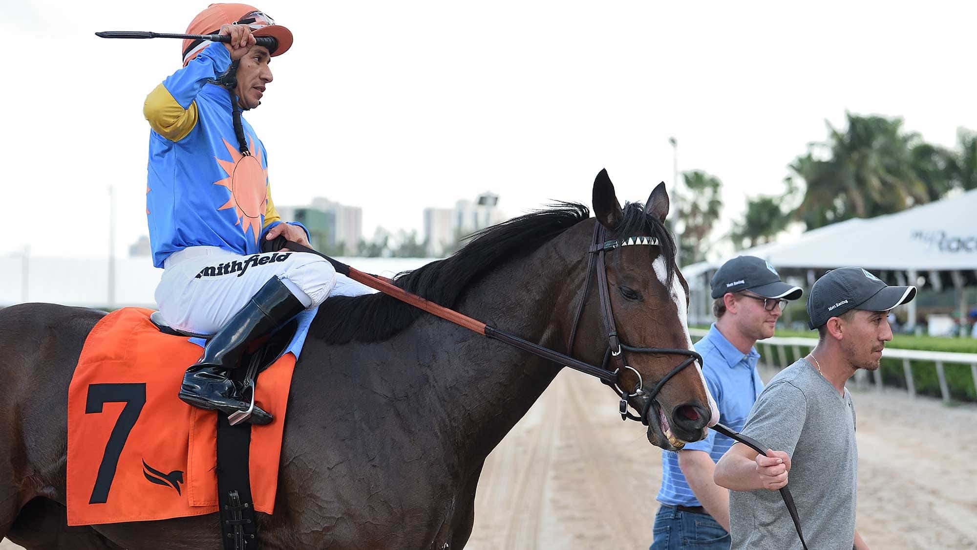 Sand-and-Sea-the-Orange-Blossom