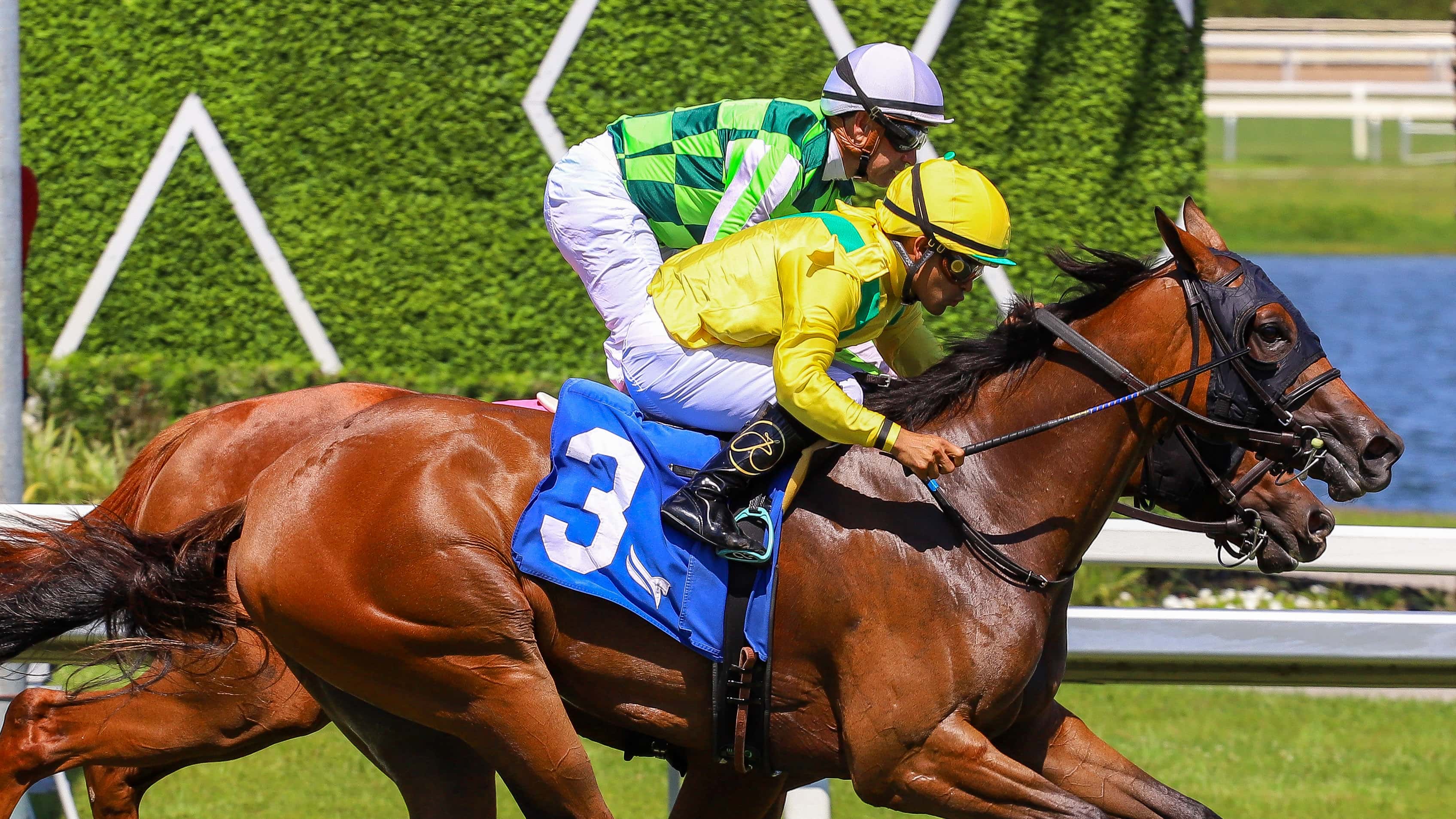 Celtic Dispute vence en emocionante final del The Royal Palm Juvenile Stakes