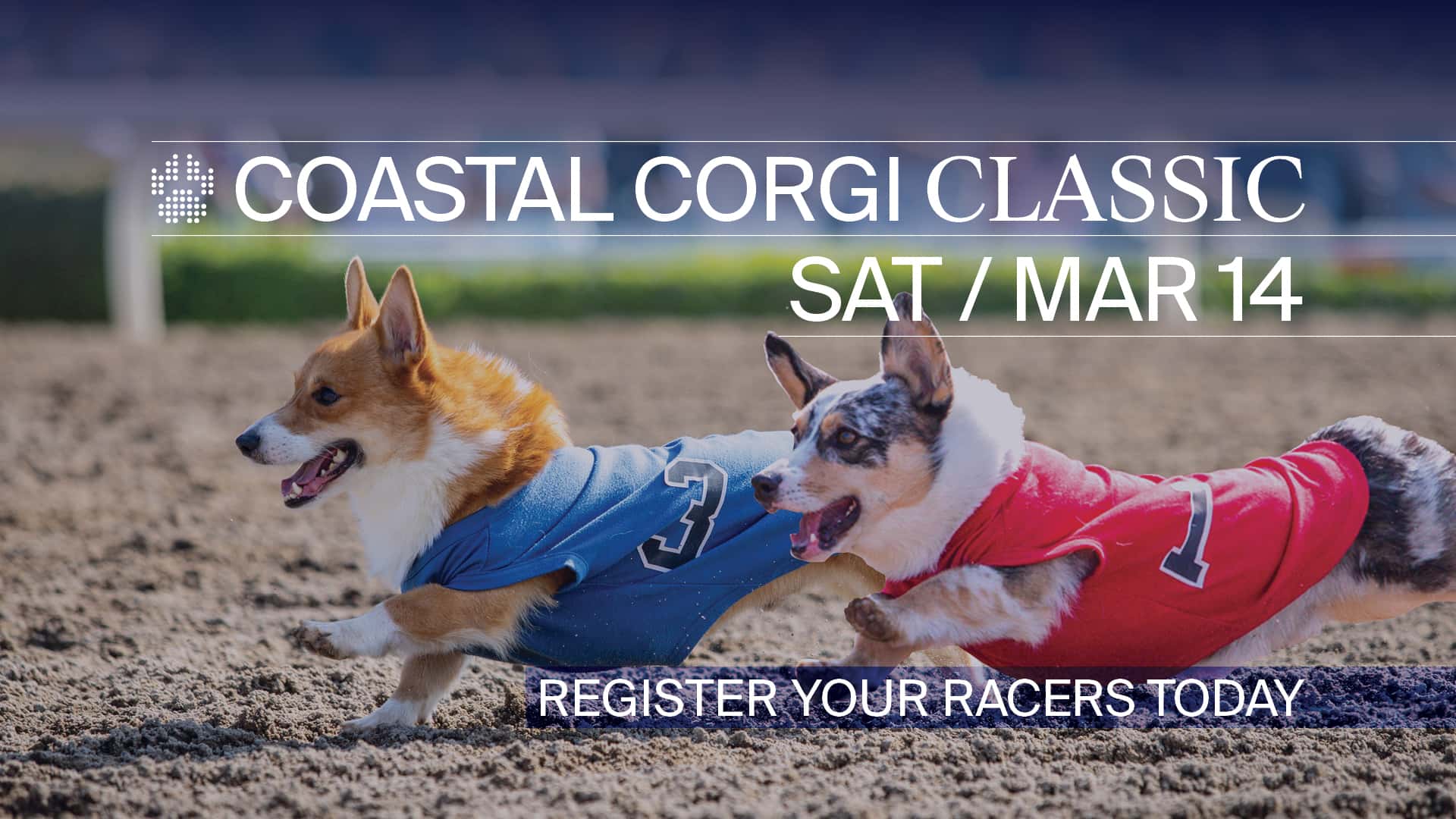 1920x1080 TV-Slate Corgi Coastal SAFE background asset