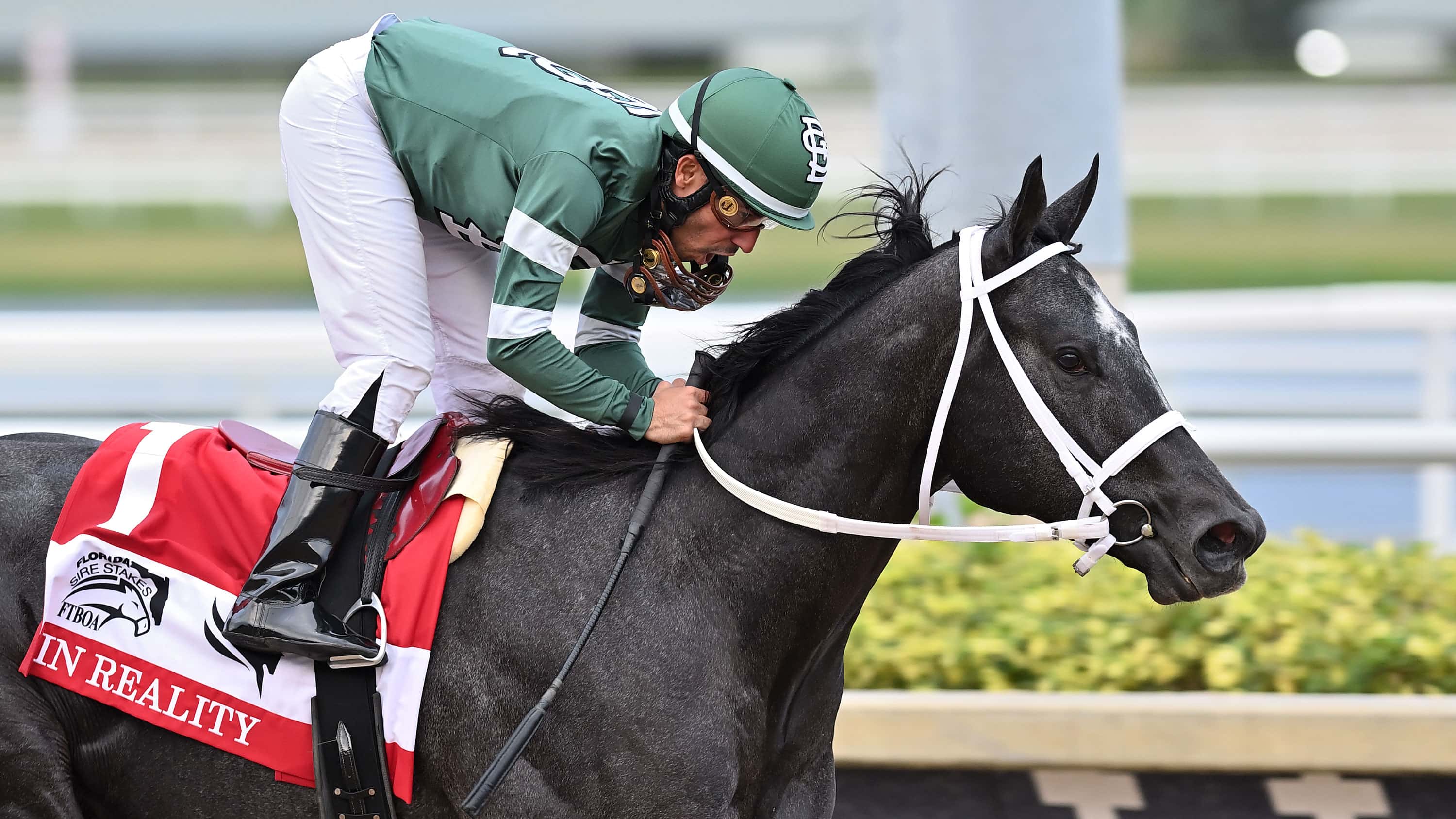 Rated-by-Merit-the-FSS-In-Reality-g2