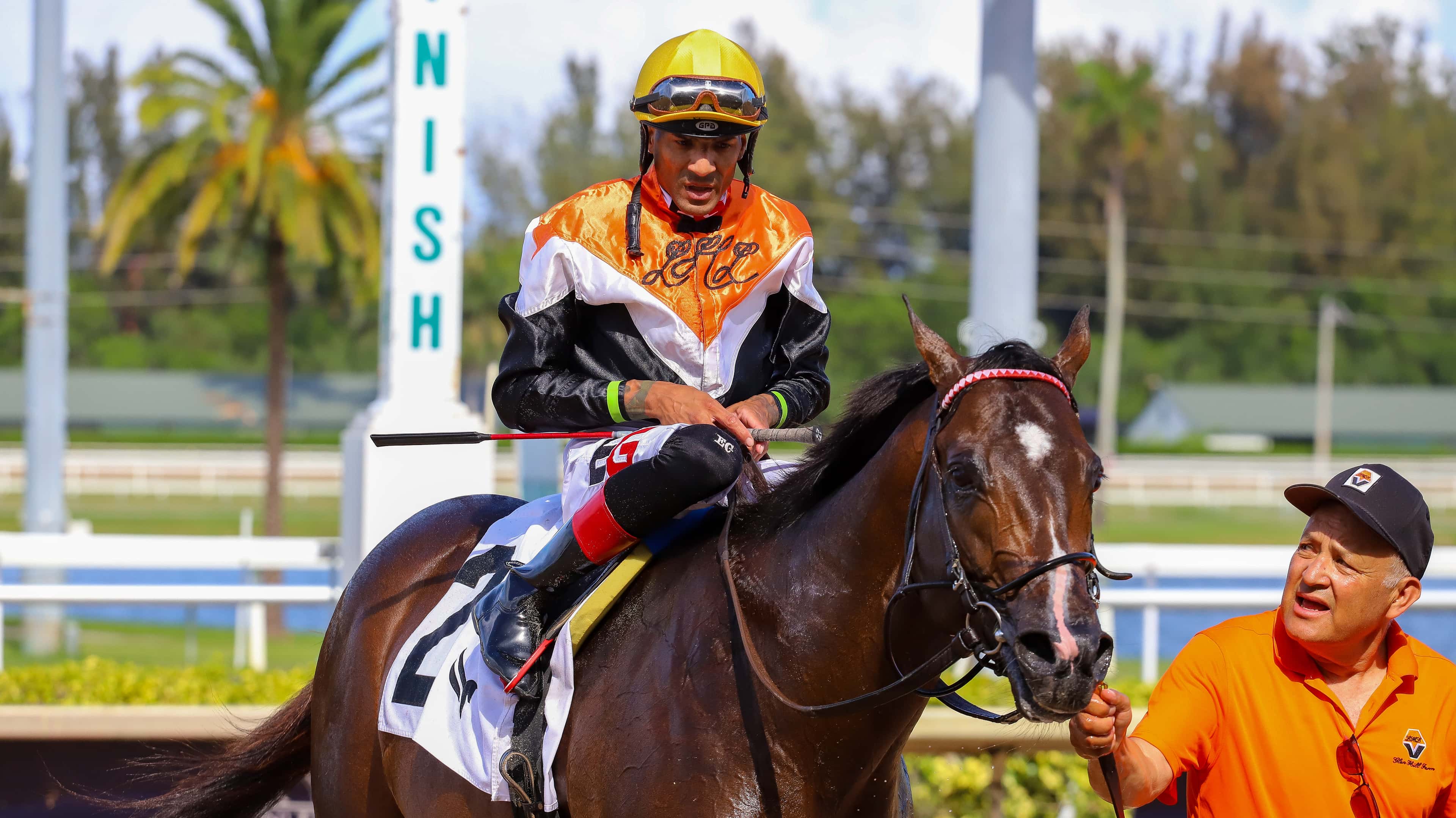 The Roar Stakes-2026 May 17