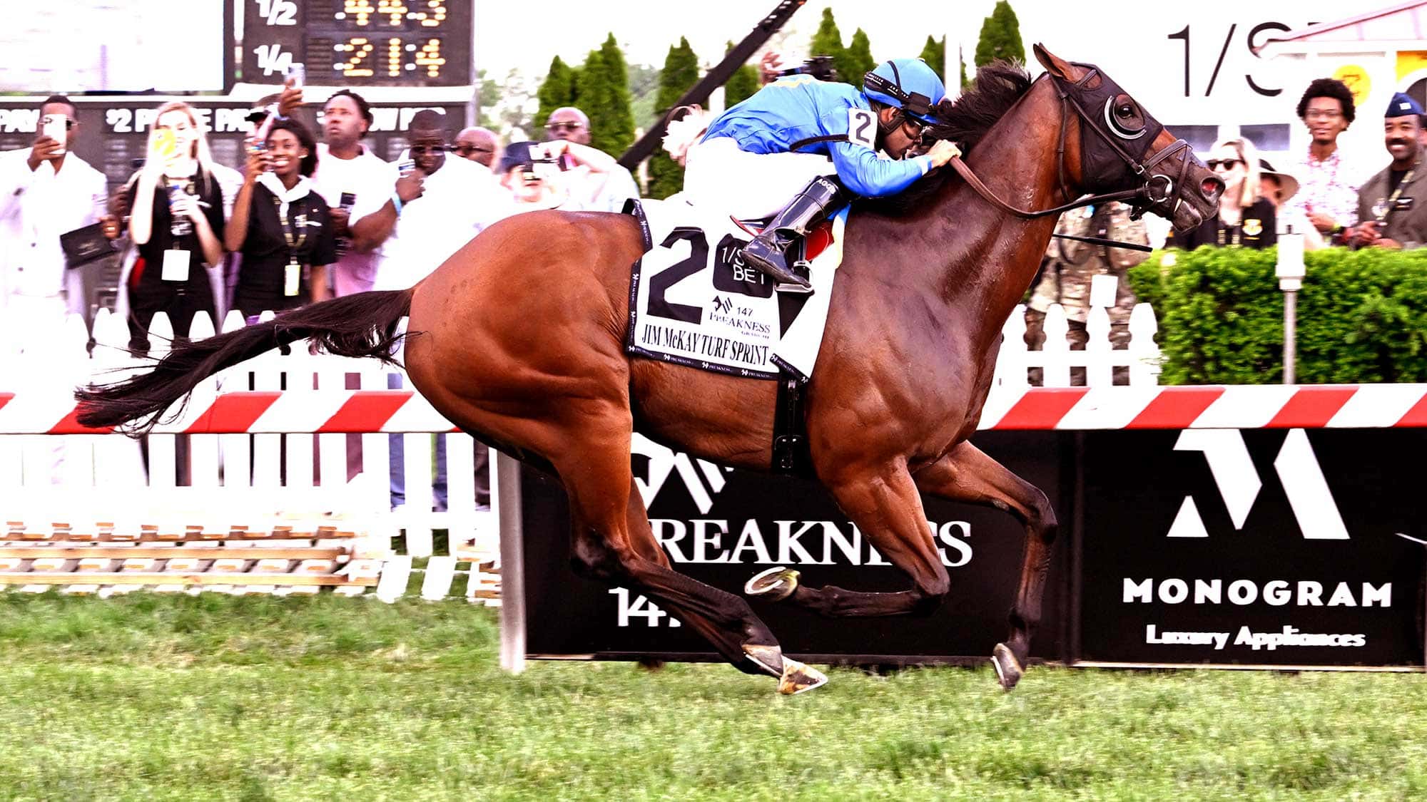 Carotari-2022-JMcKay-TS-0