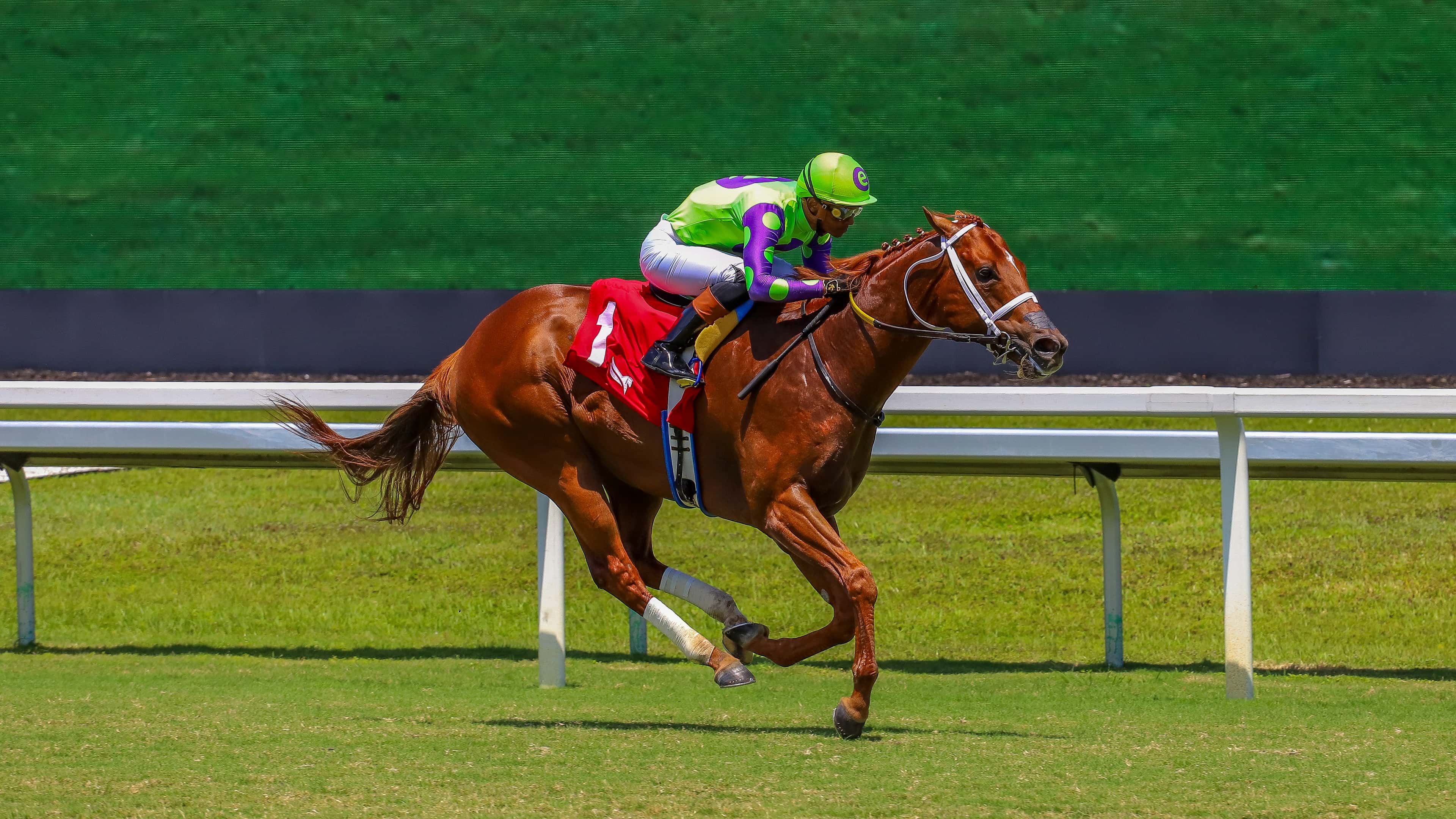 Thought Control se impuso con autoridad en la cuarta carrera dominical