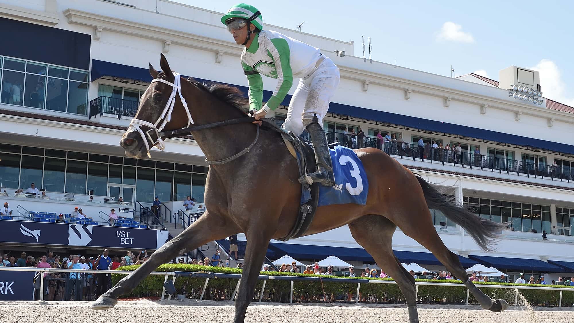 Lynx-the-FSS-Desert-Vixen3