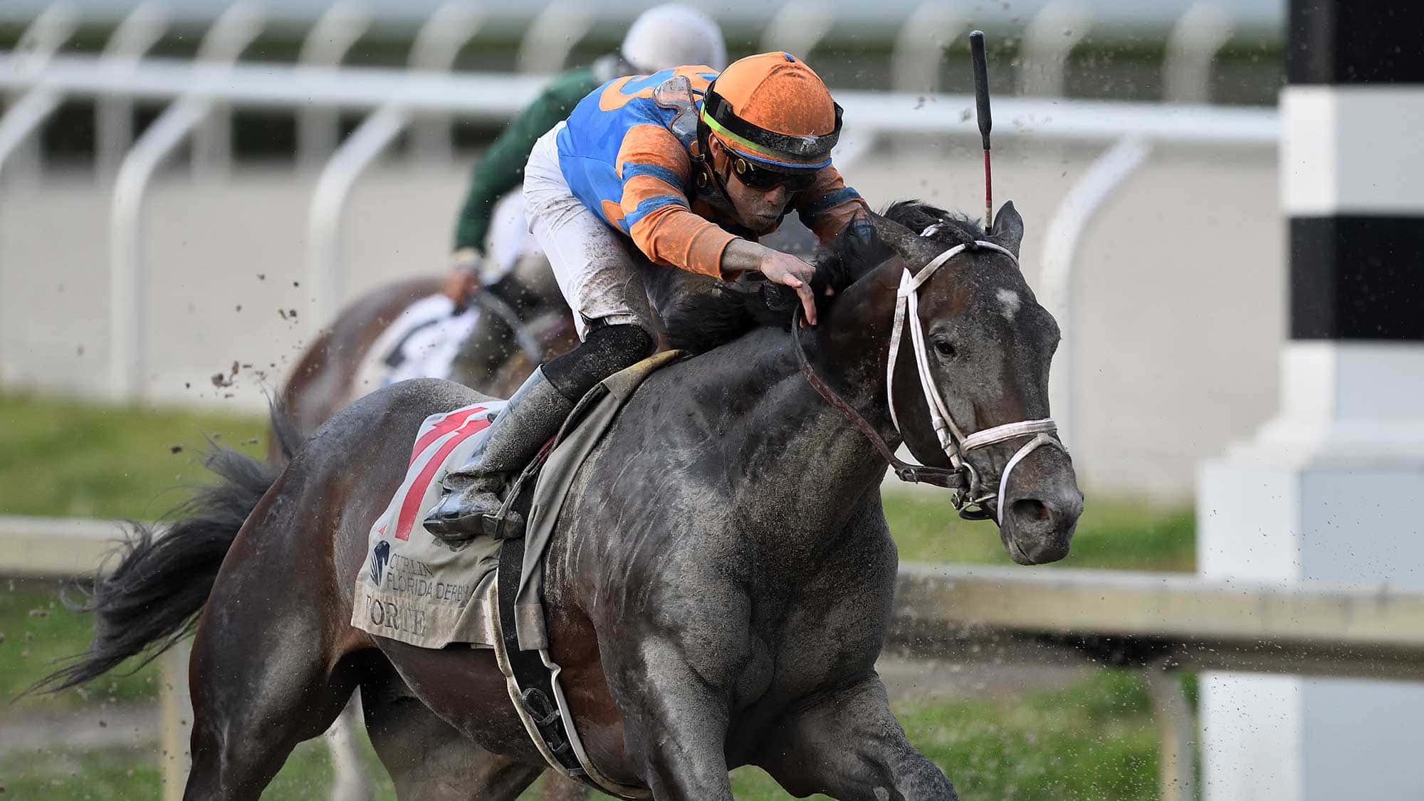 Forte Overcomes Adversity to Capture G1 Florida Derby