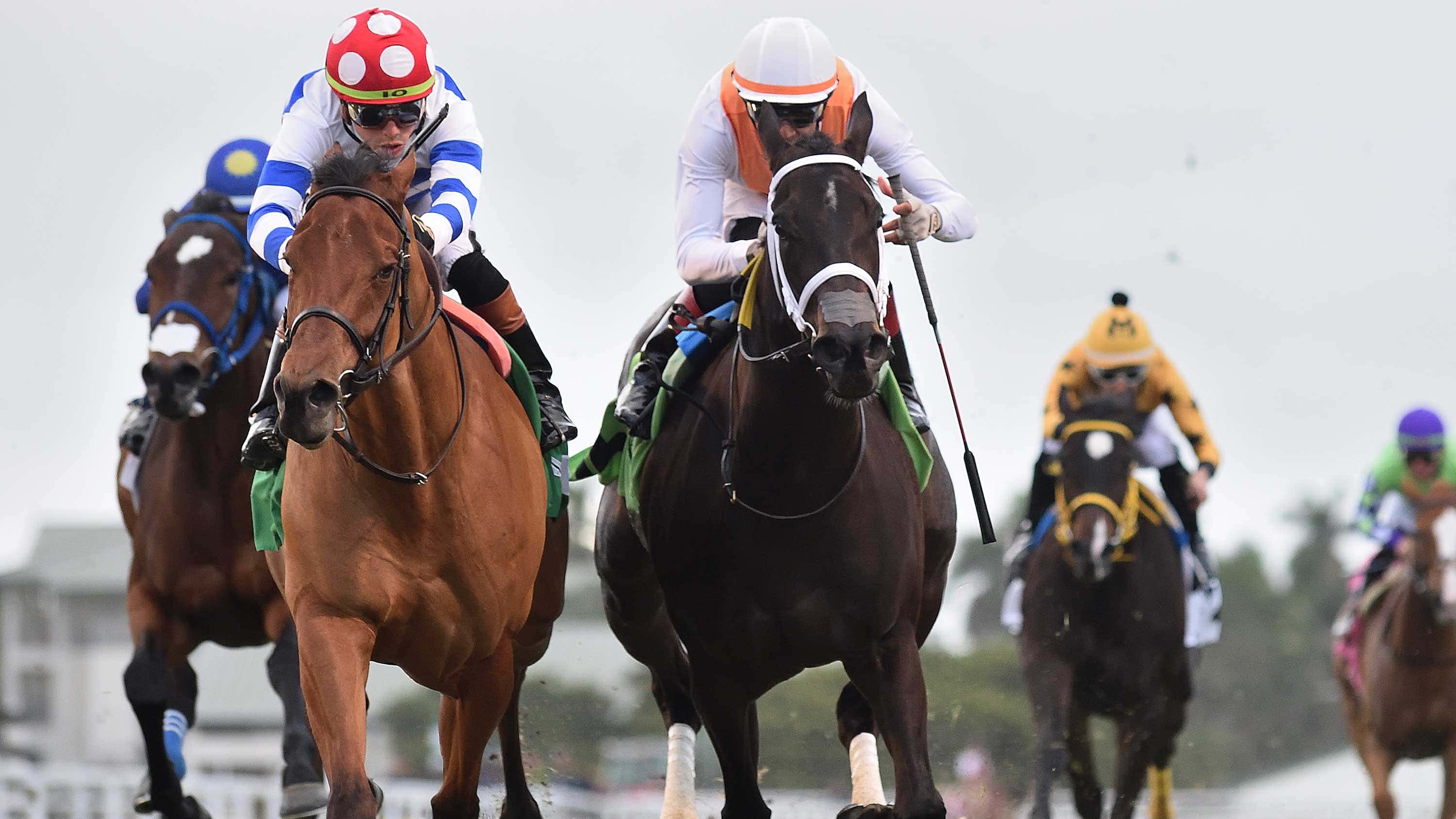 See-You-Around-(left)-the-Tropical-Park-Oaks