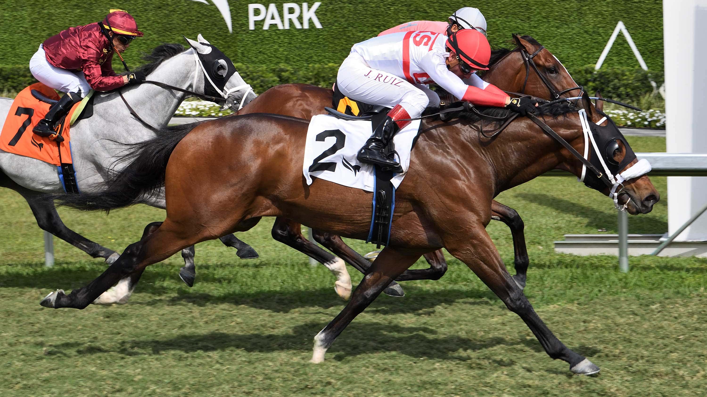 Incanto-the-Texas-Glitter