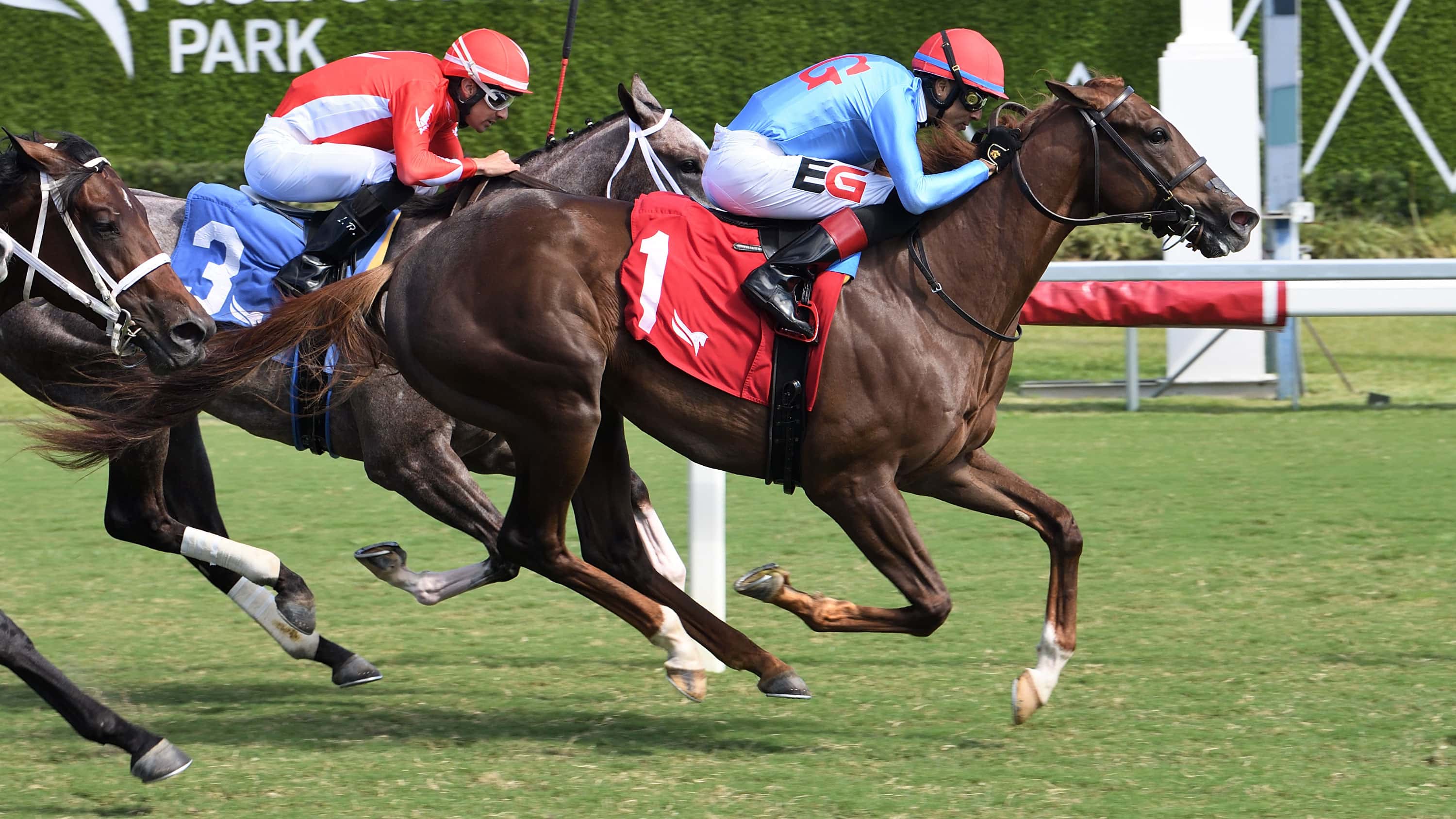 Behold-the-King-the-Armed-Forces