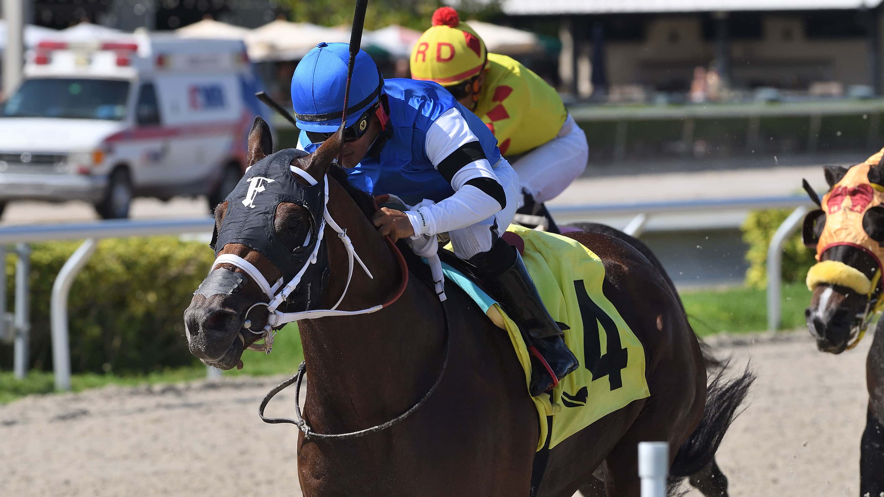 Reef-Runner-the-Bob-Umphrey-Sprint-2