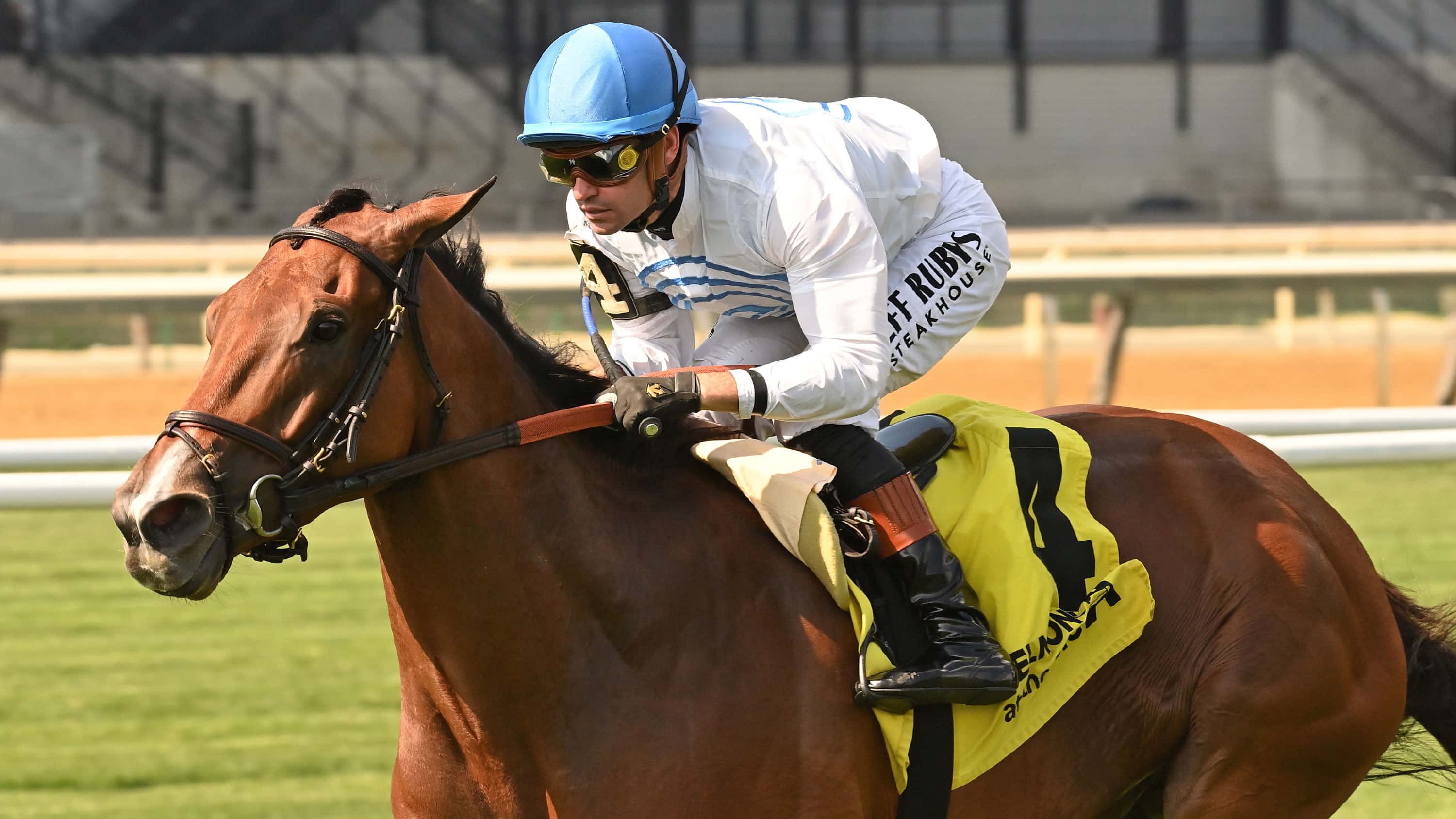 Pegasus Filly & Mare (G2) Brings Together Seven Graded Winners