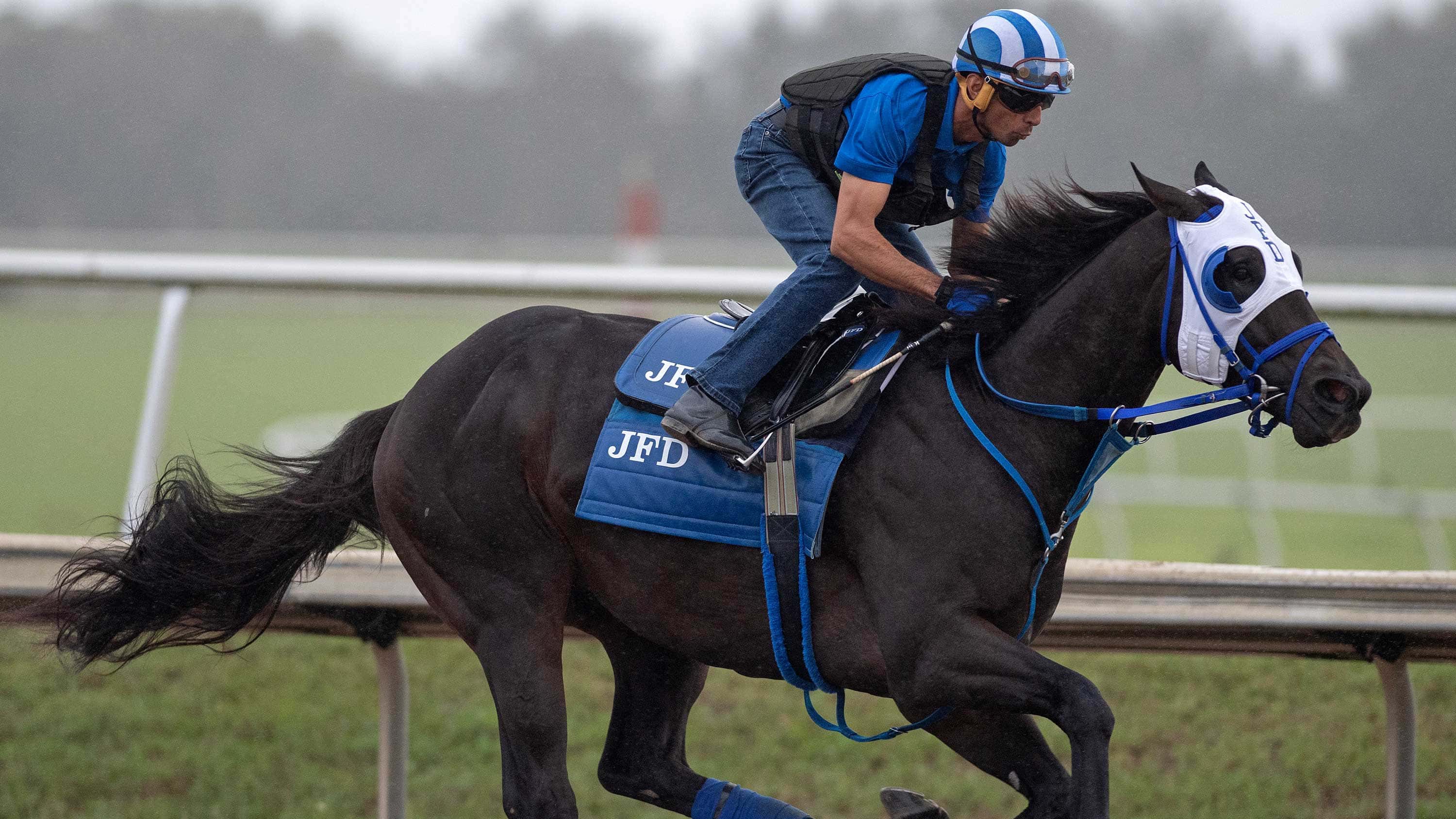 Bentornato-work11-18-23