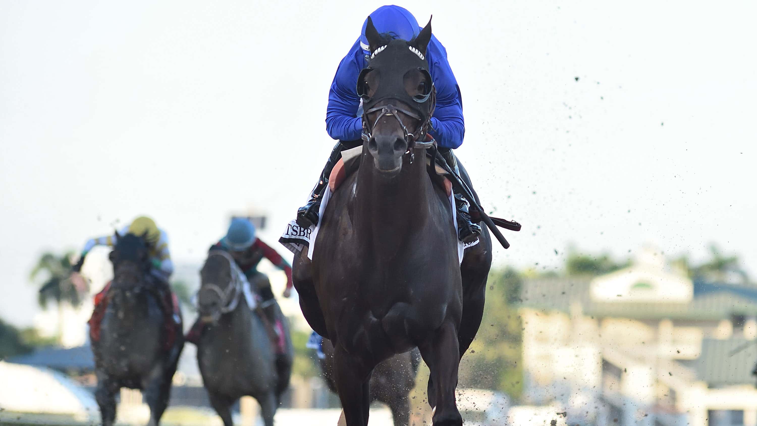 Knightsbridge Makes the Grade in Saturday’s G3 Mr. Prospector