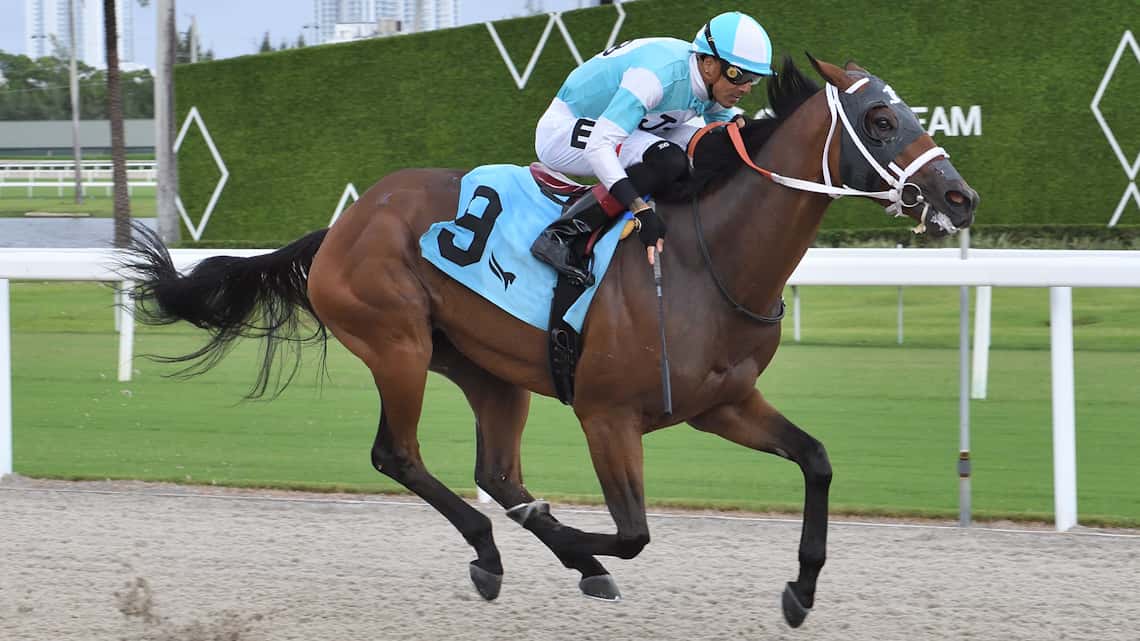 Ashers-Edge-the-Bob-Umphrey