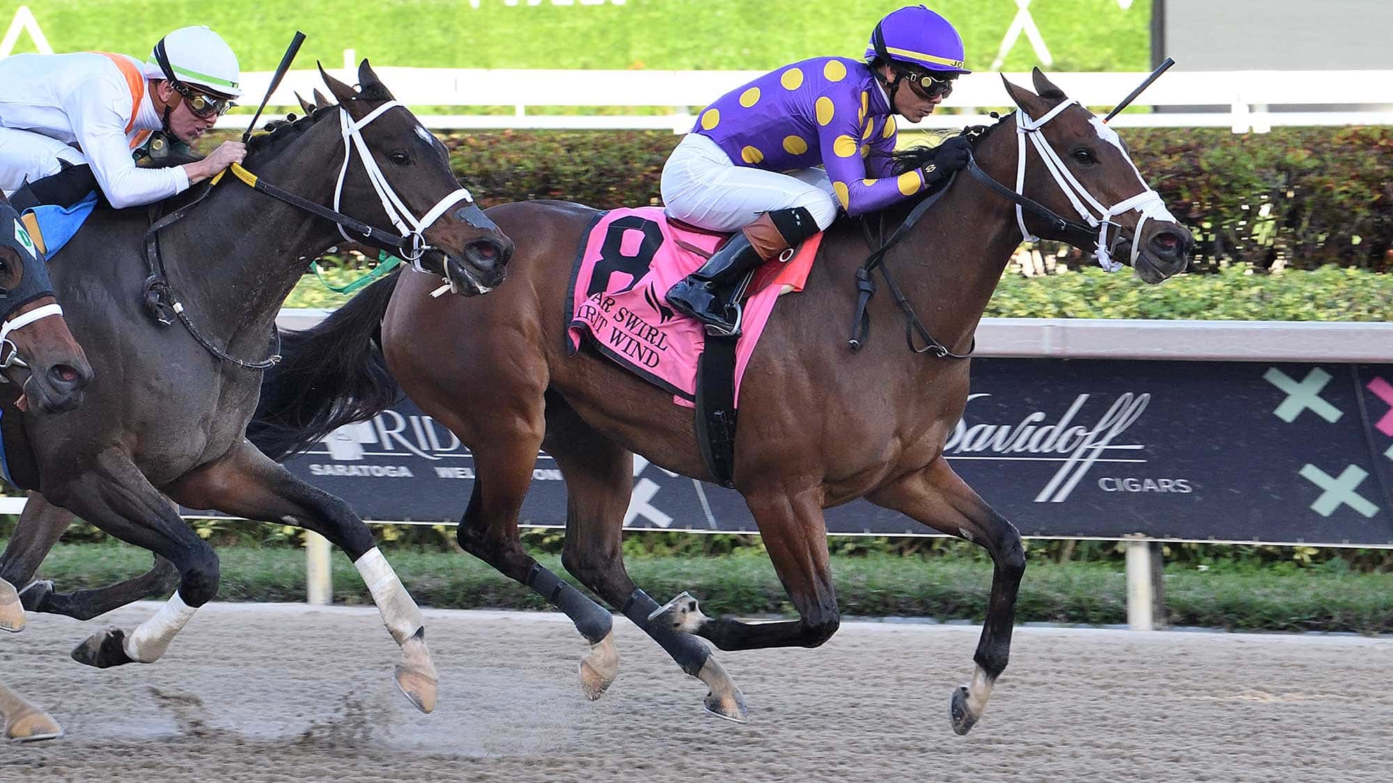 Spirit-Wind-the-Sugar-Swirl-2