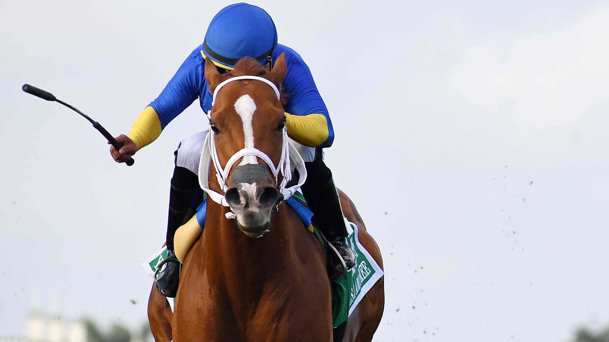 Yes-I-Am-Free-the-GP-Turf-Sprint-3