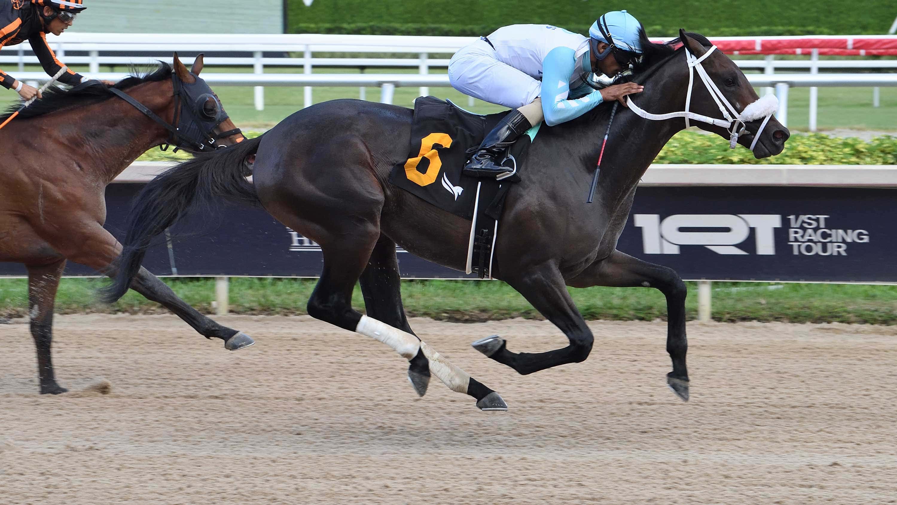 Crazy-Frazy-the-Aventura