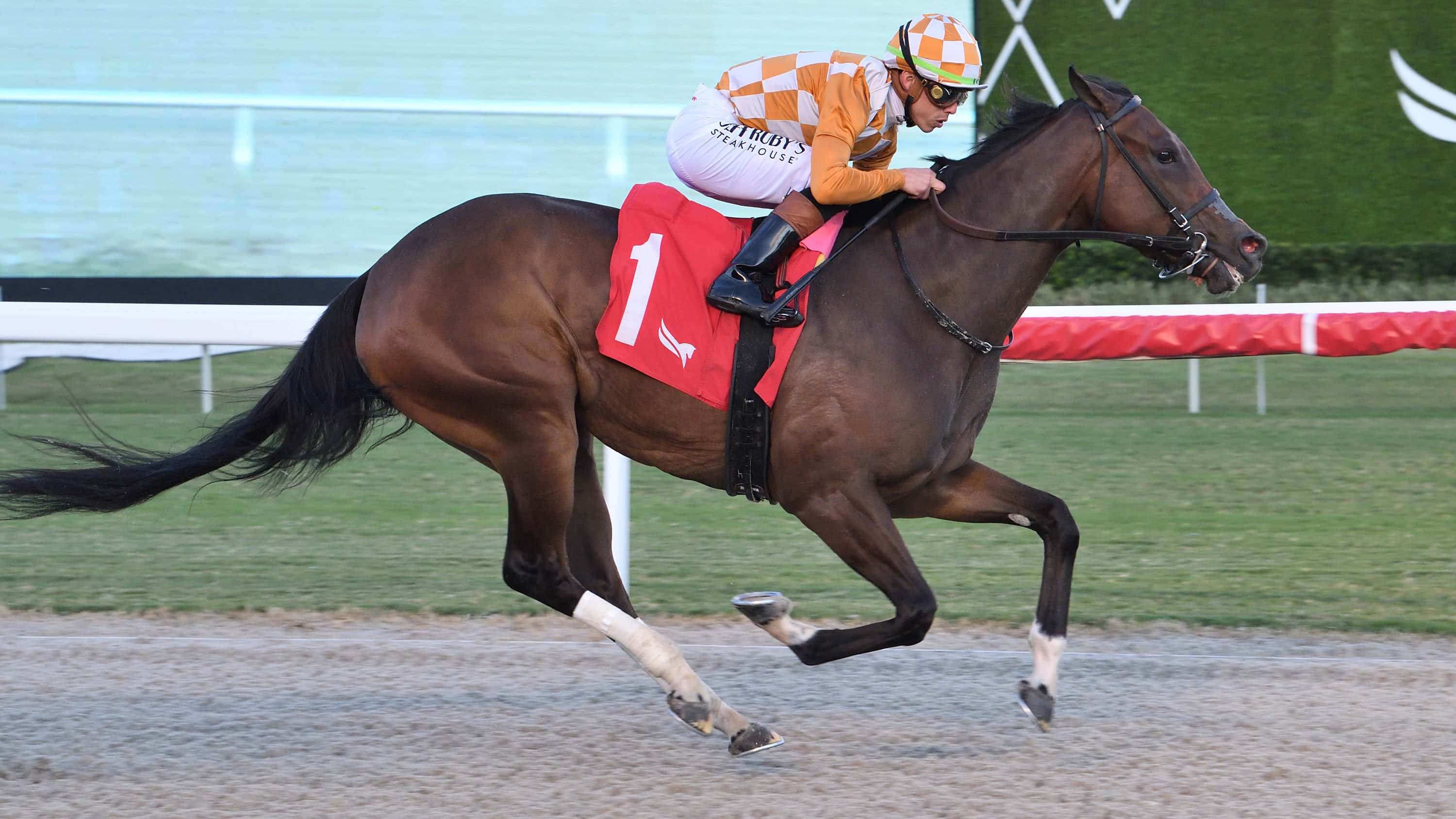 Karaya-the-Nicoles-Dream