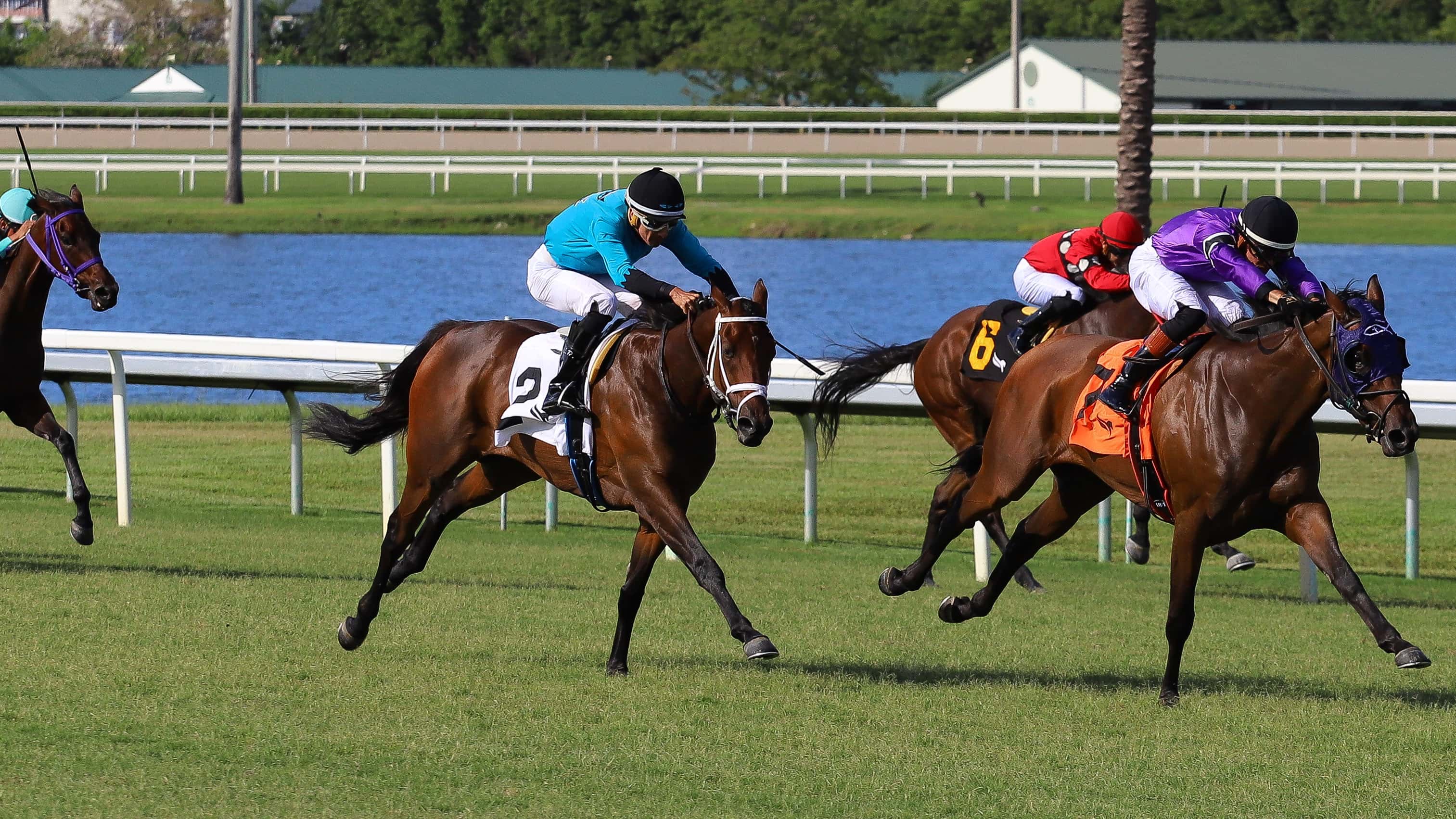 Gran expectativa por las jornadas de lunes en Gulfstream Park