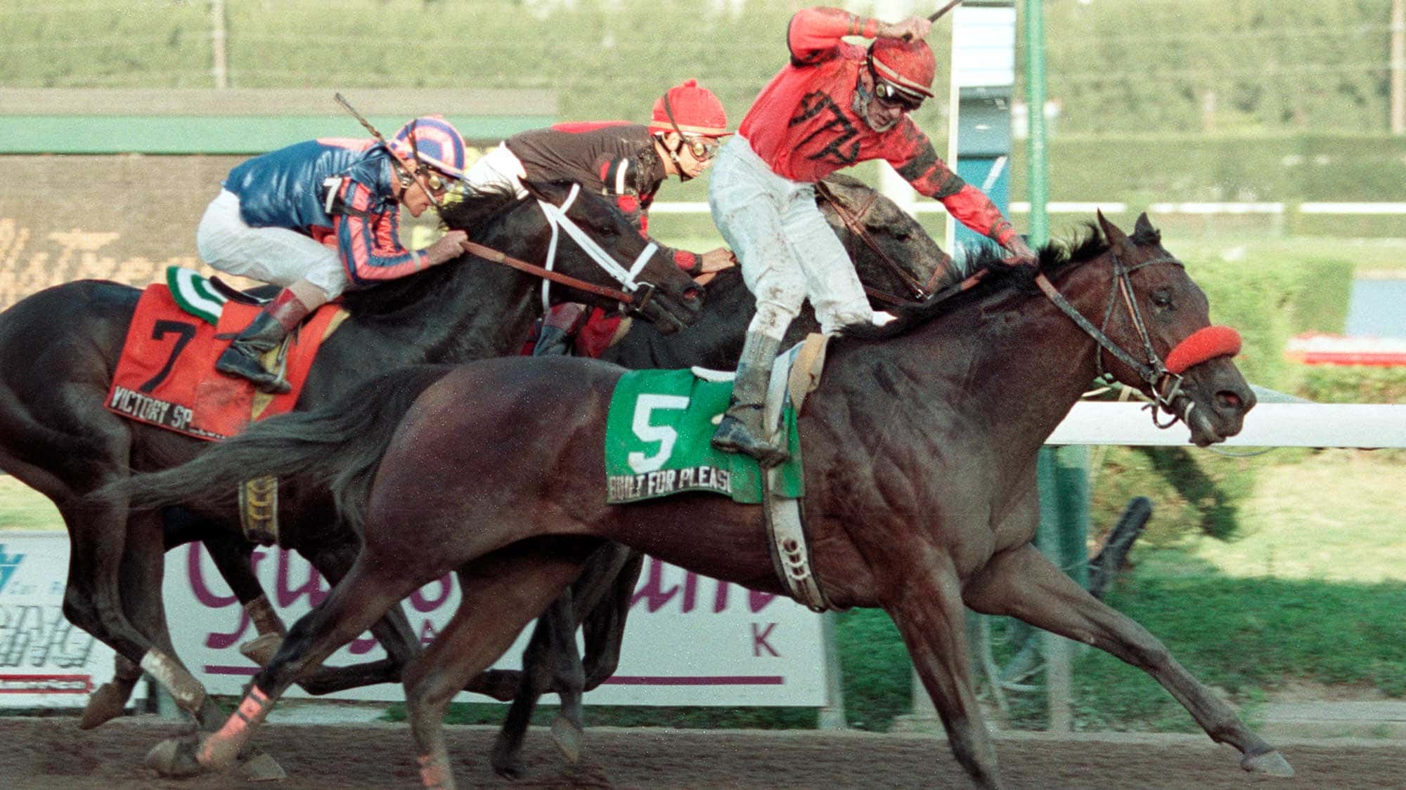 Built-for-Pleasure-1996-Fountain-of-Youth