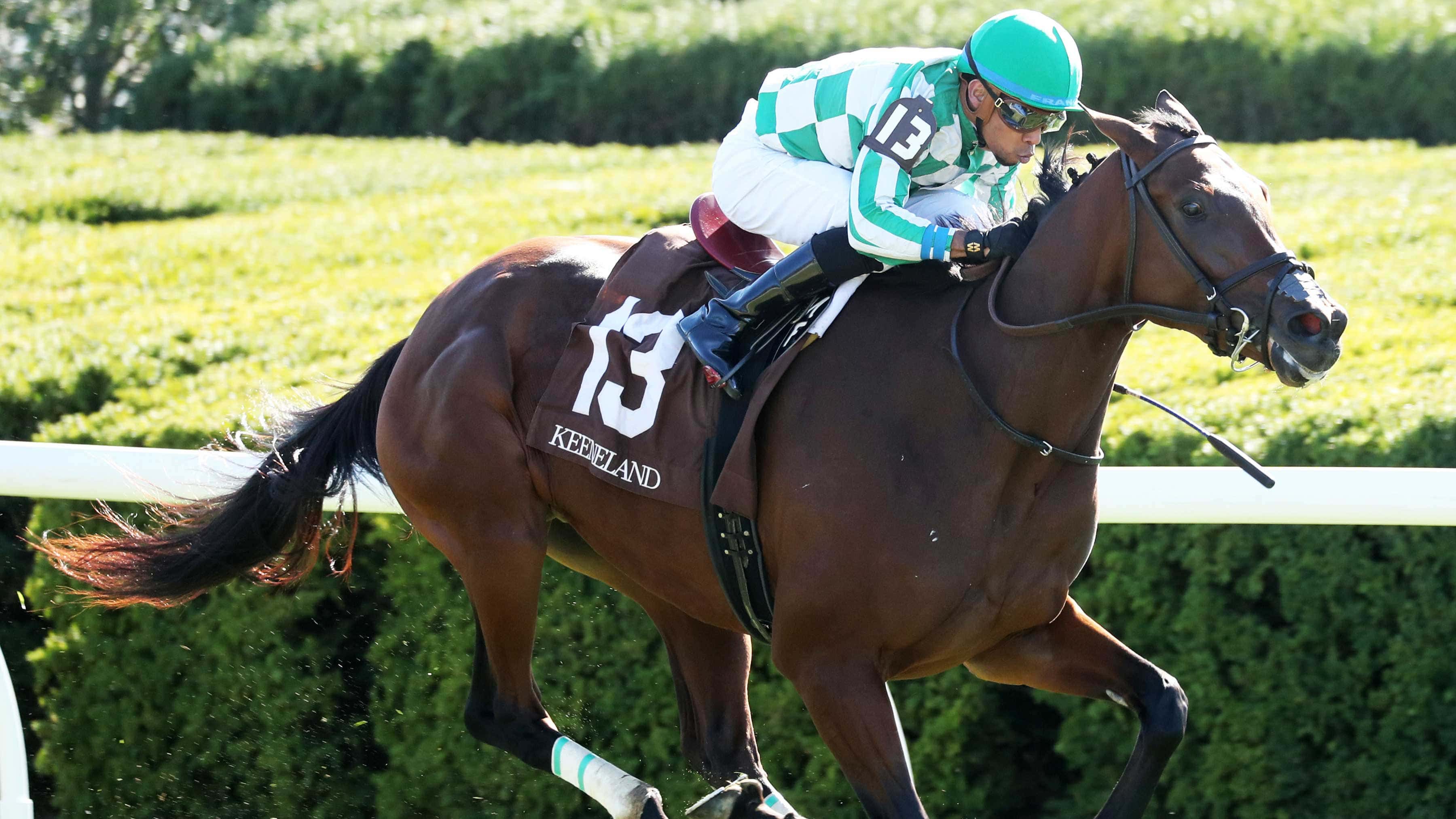 RANDOM-HARVEST-10-26-24-Keeneland