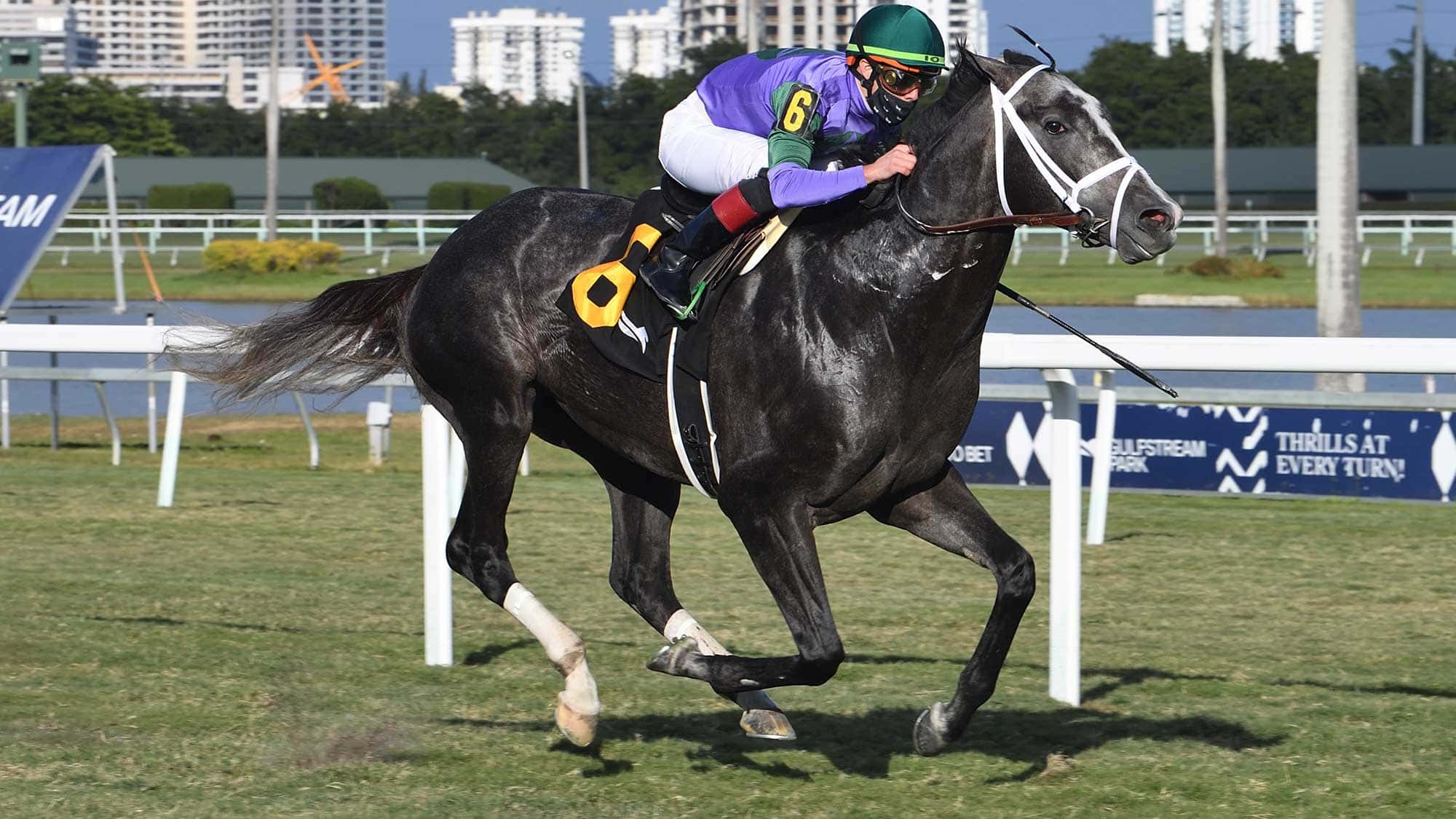 Colonel-Liam-the-Tropical-Park-Derby-2