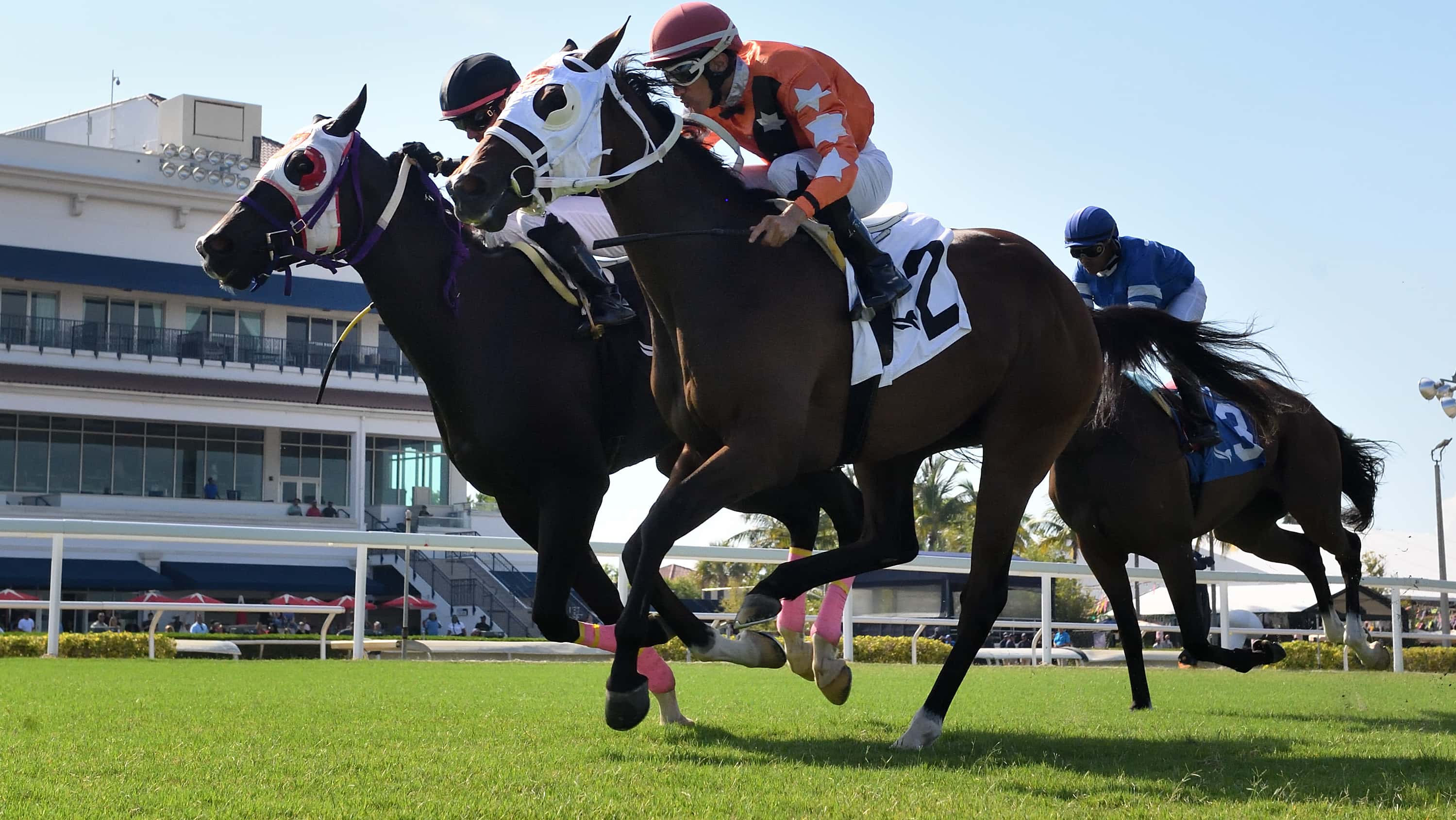 Starship-Impulsive-the-Frolics-Revenge