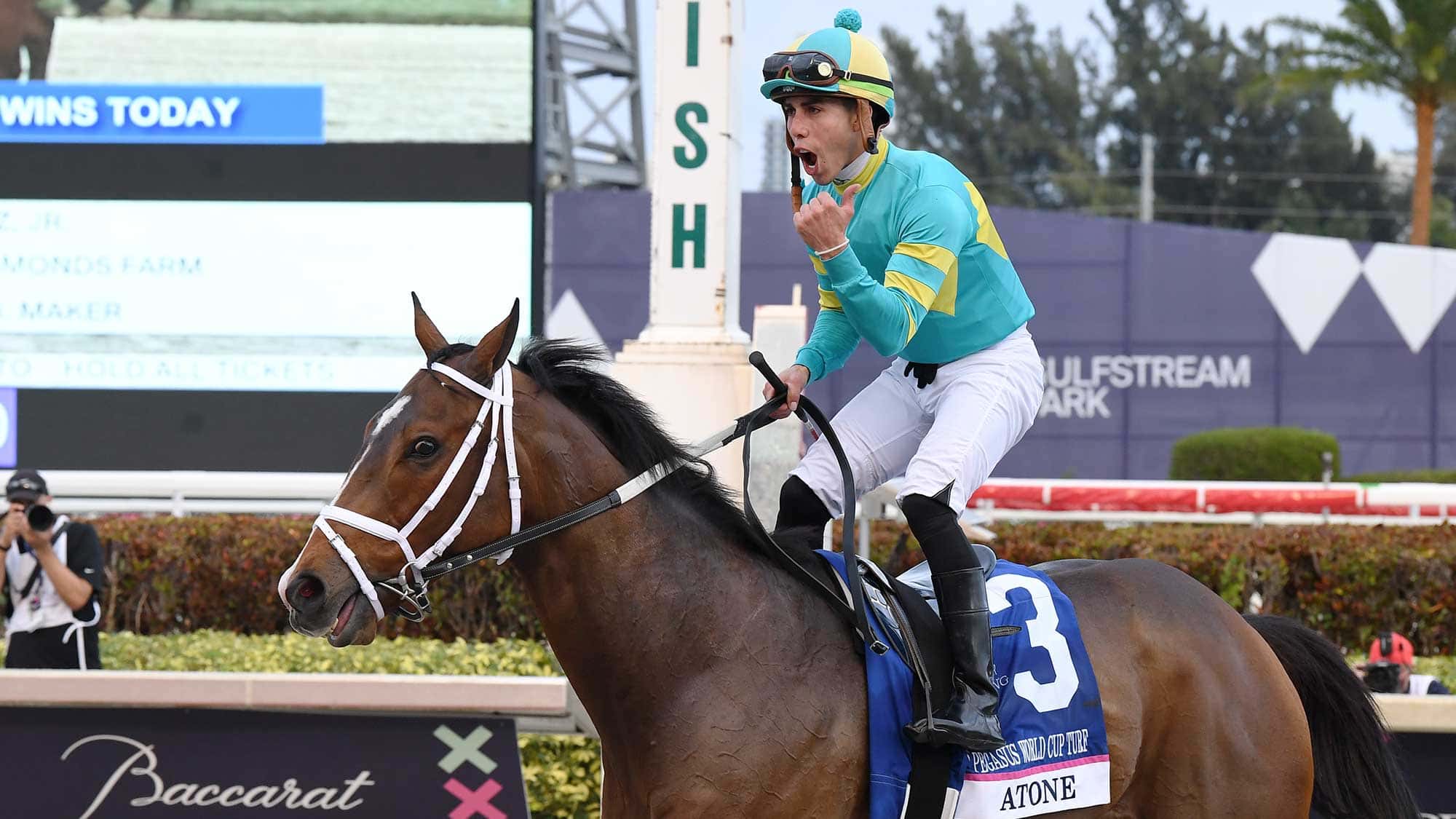 Atone-the-Pegasus-Turf-2