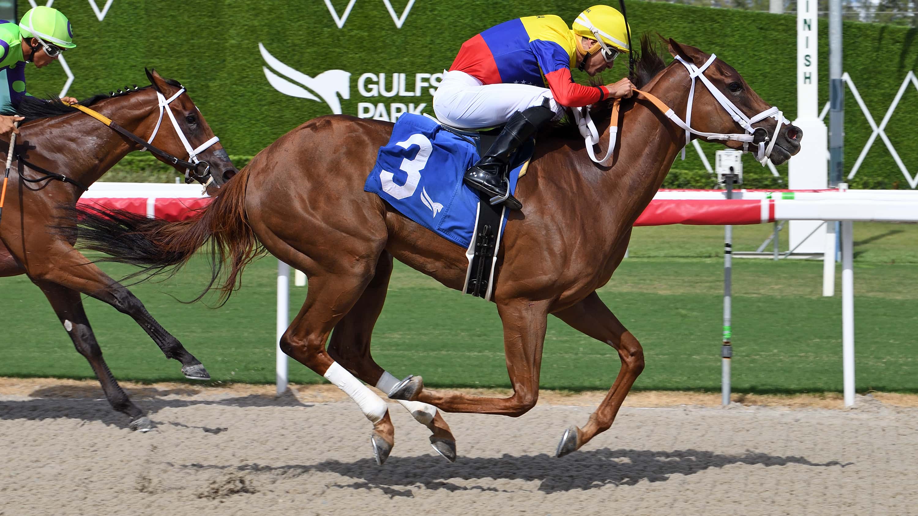 Great-Venezuela-The-Portofino-Bay