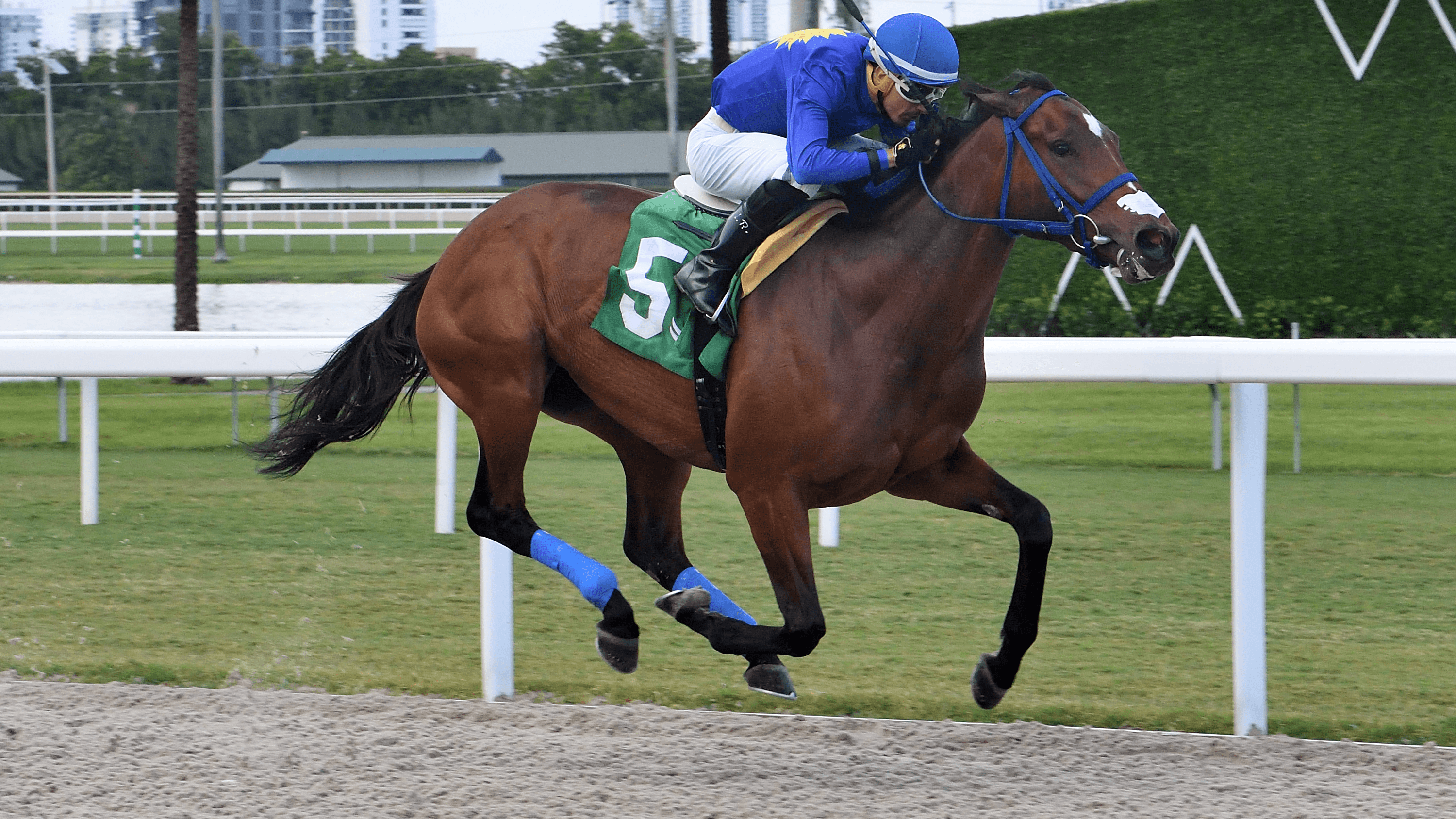 De-Regreso-the-Martha-Washington-