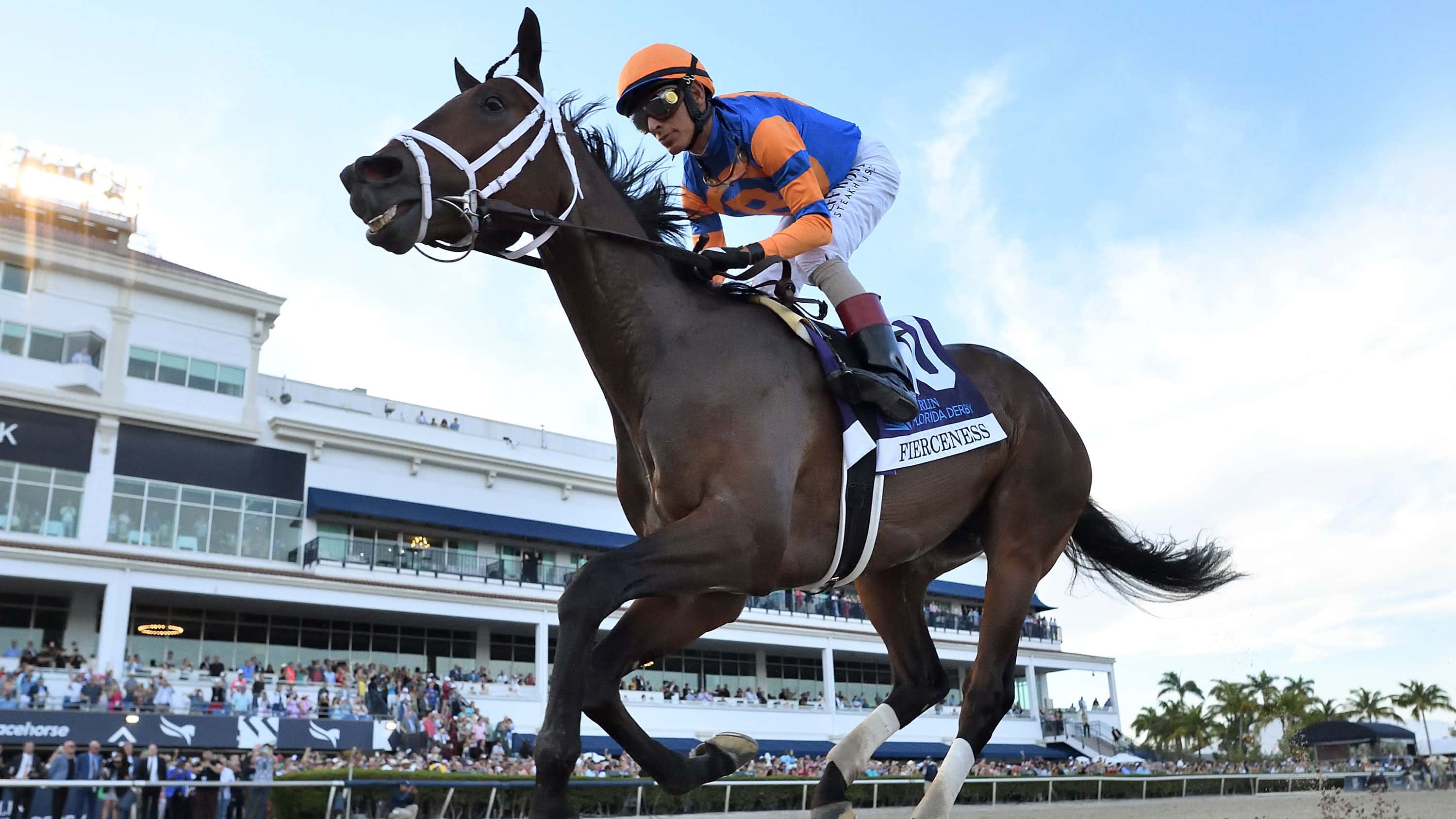 Fierceness-the-FL-Derby3(4)