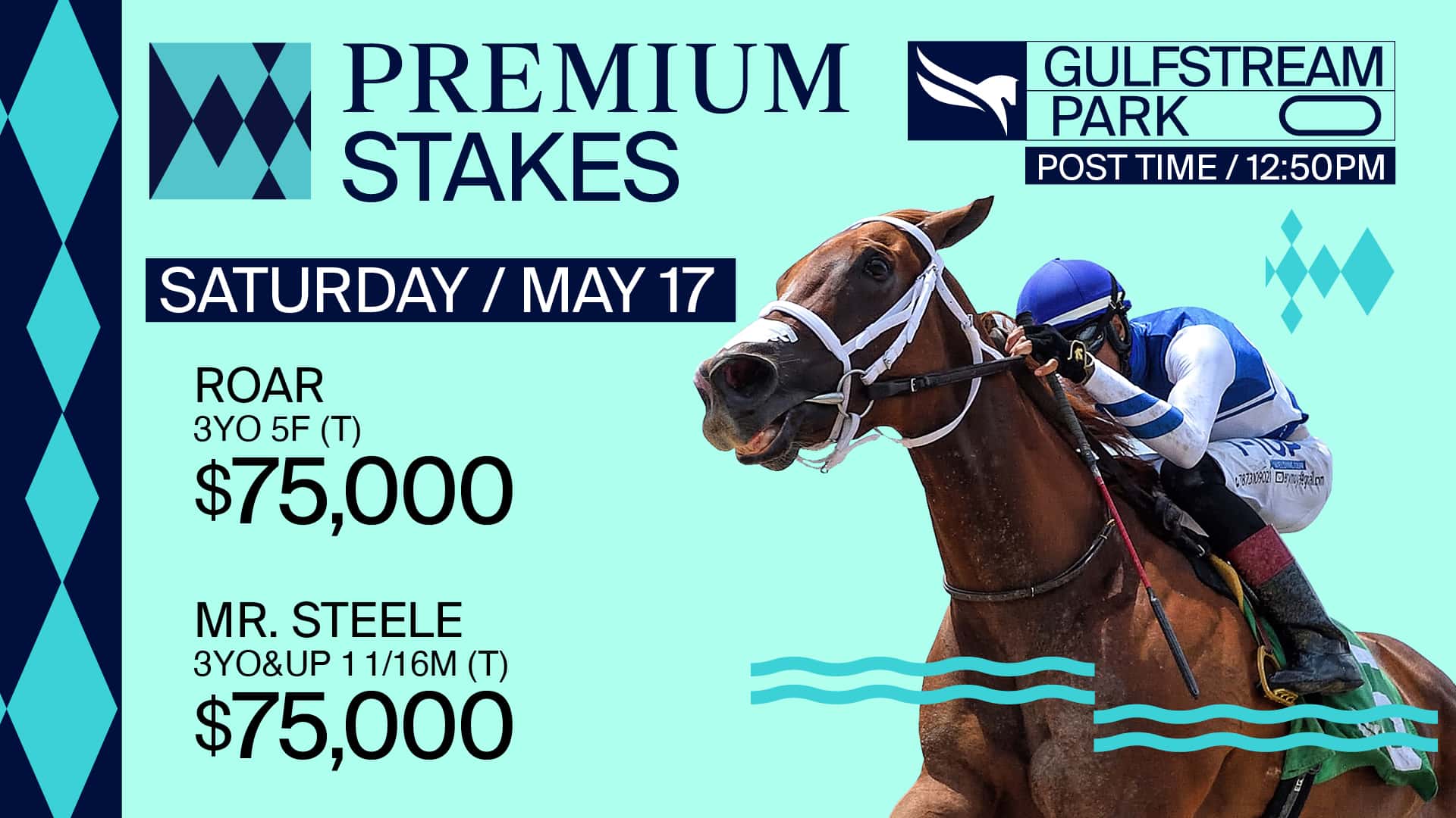 TV-Slate Premium Stake Day SAT MAY-17 background asset