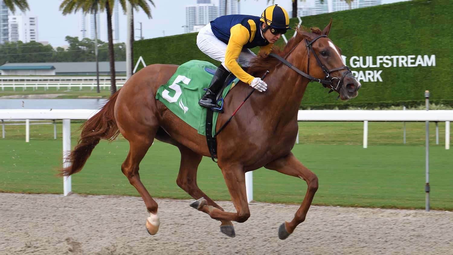 Sister Troienne Keeps Rolling into $175,000 Sweetest Chant