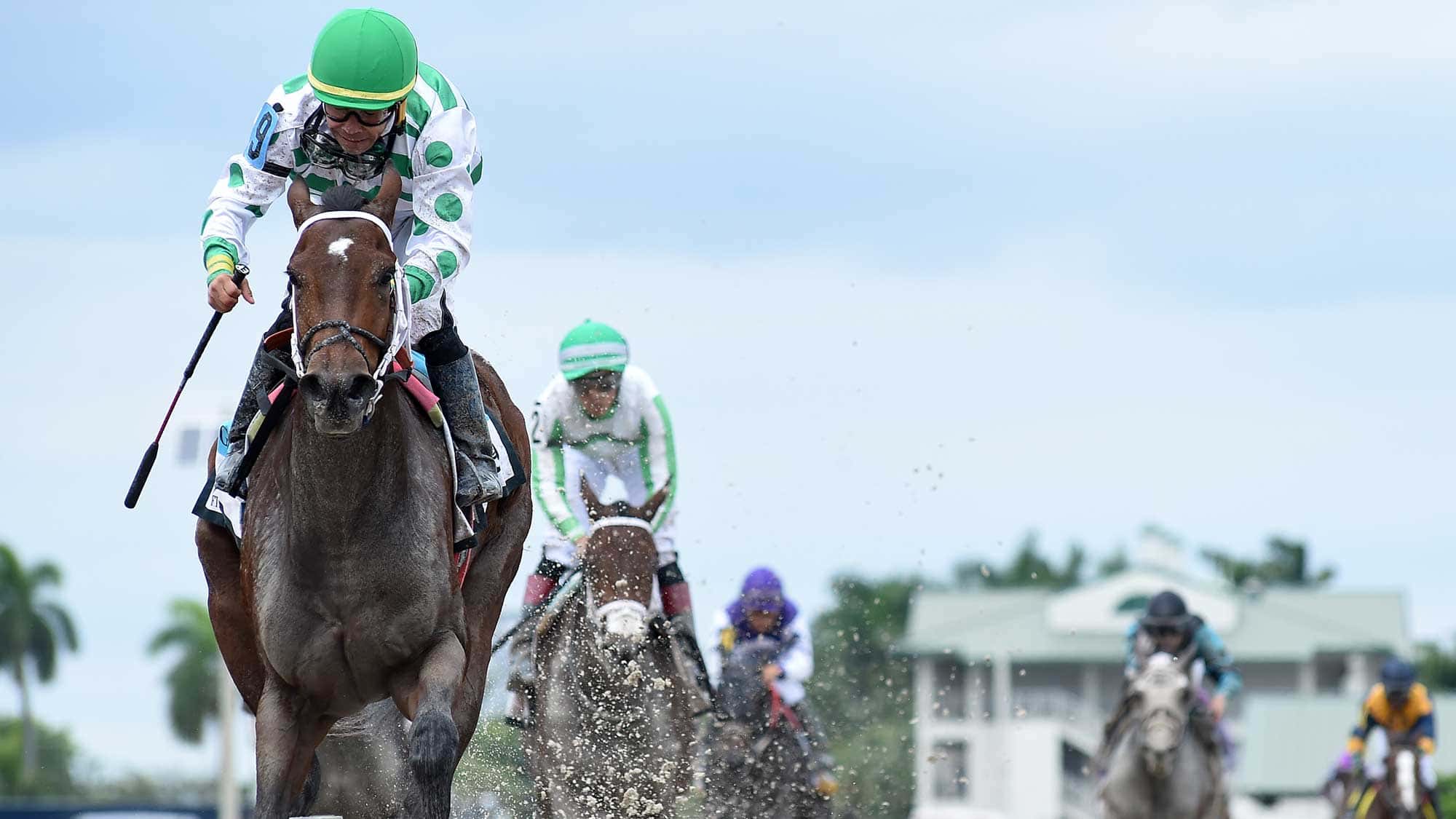 Atomically-the-FSS-My-Dear-Girl-