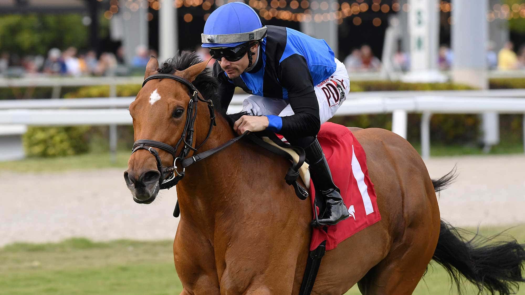 Stone-Silent-the-Ladies-Turf-Sprint