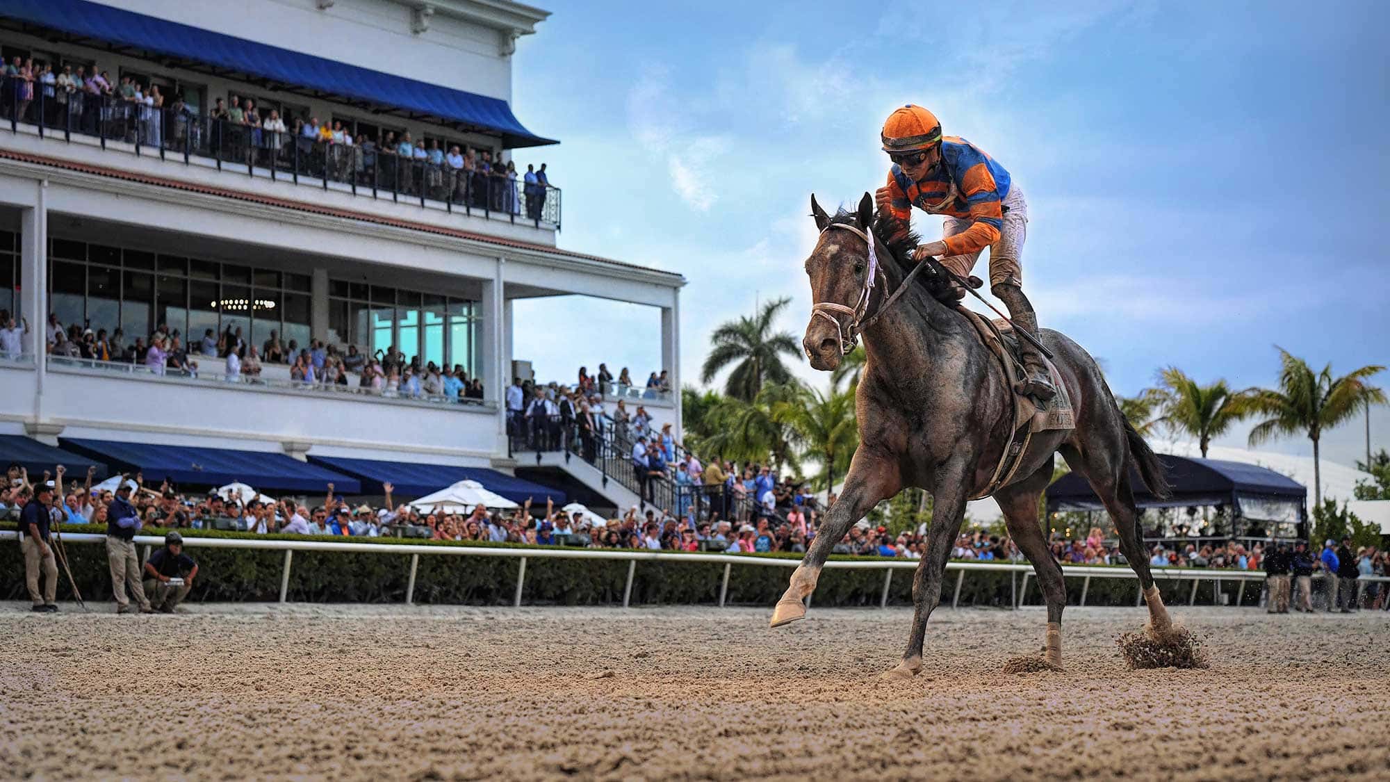 Forte-the-FL-Derby-cover