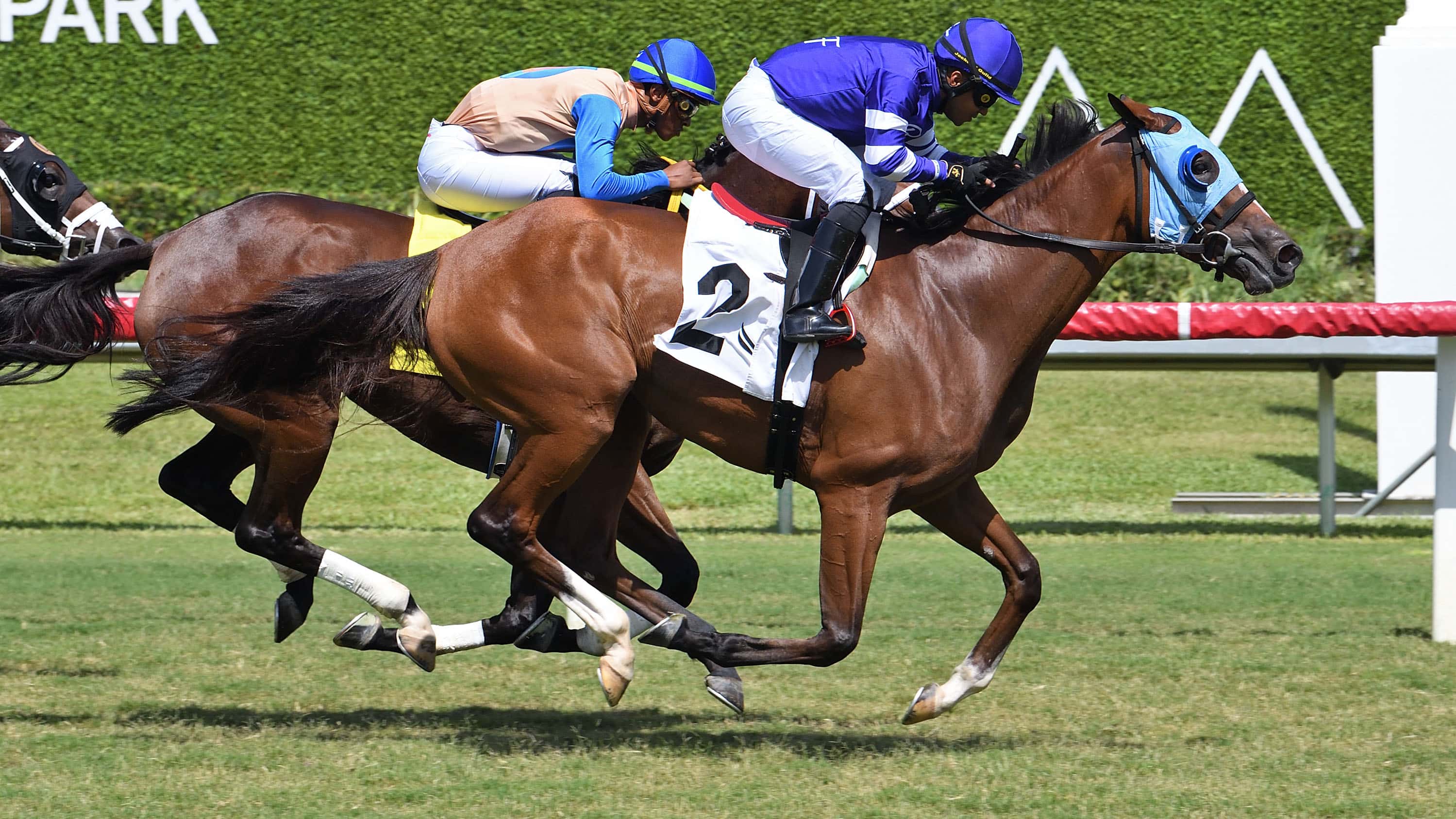 Fantasy Performer Goes Last to First in Frolic’s Revenge