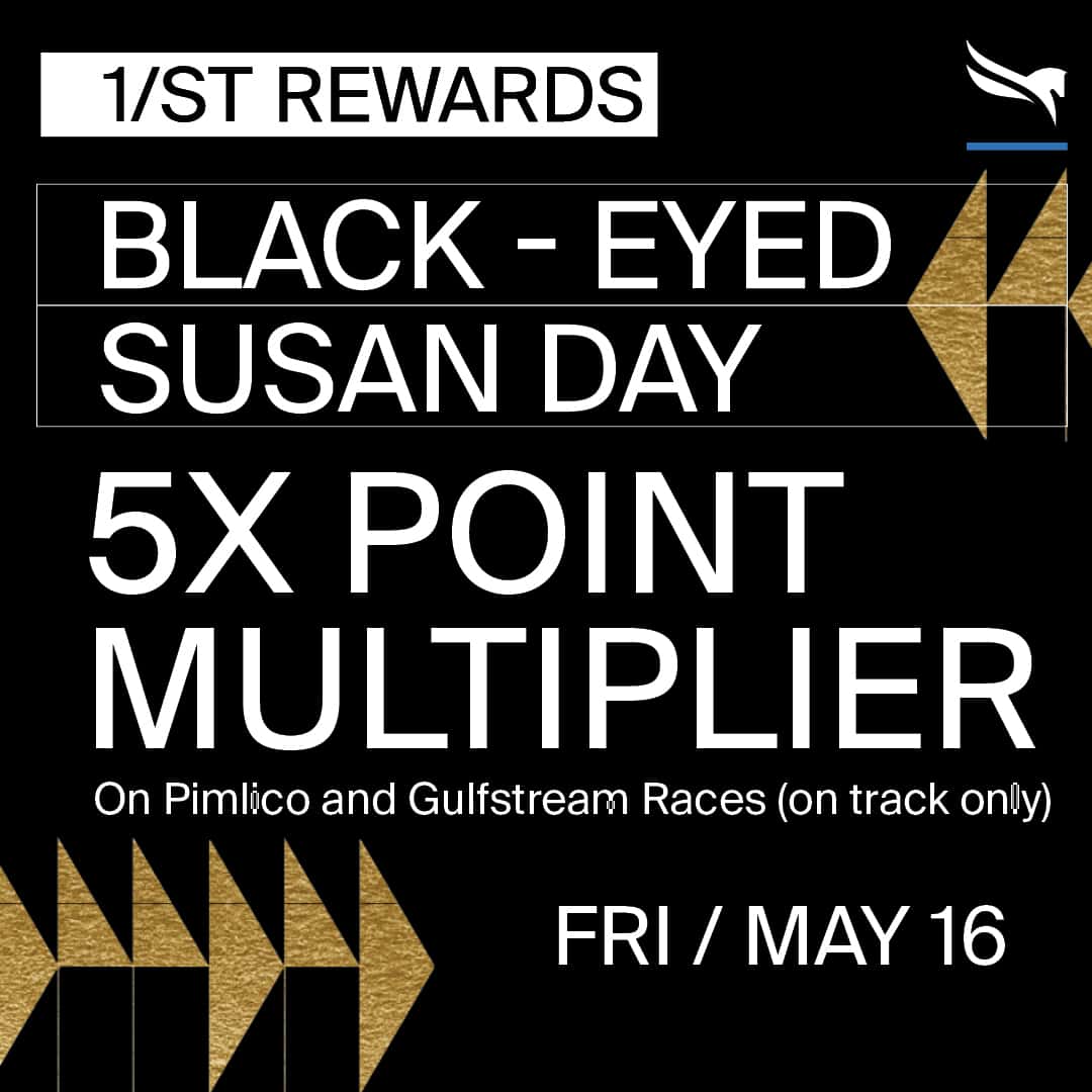 1080x1080 Black Eyed Susan background asset