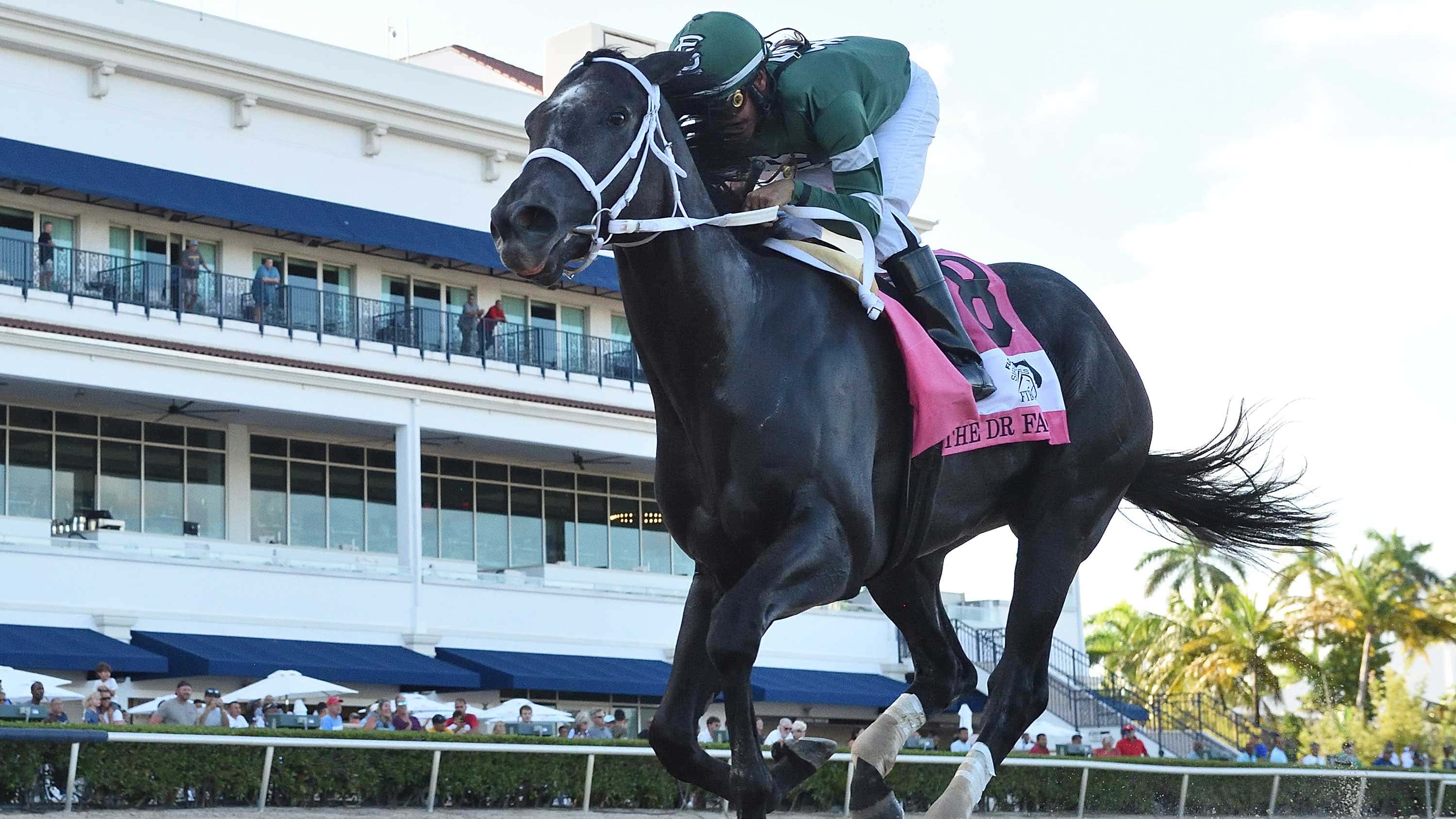 Rated-by-Merit-the-FSS-Dr-Fager2