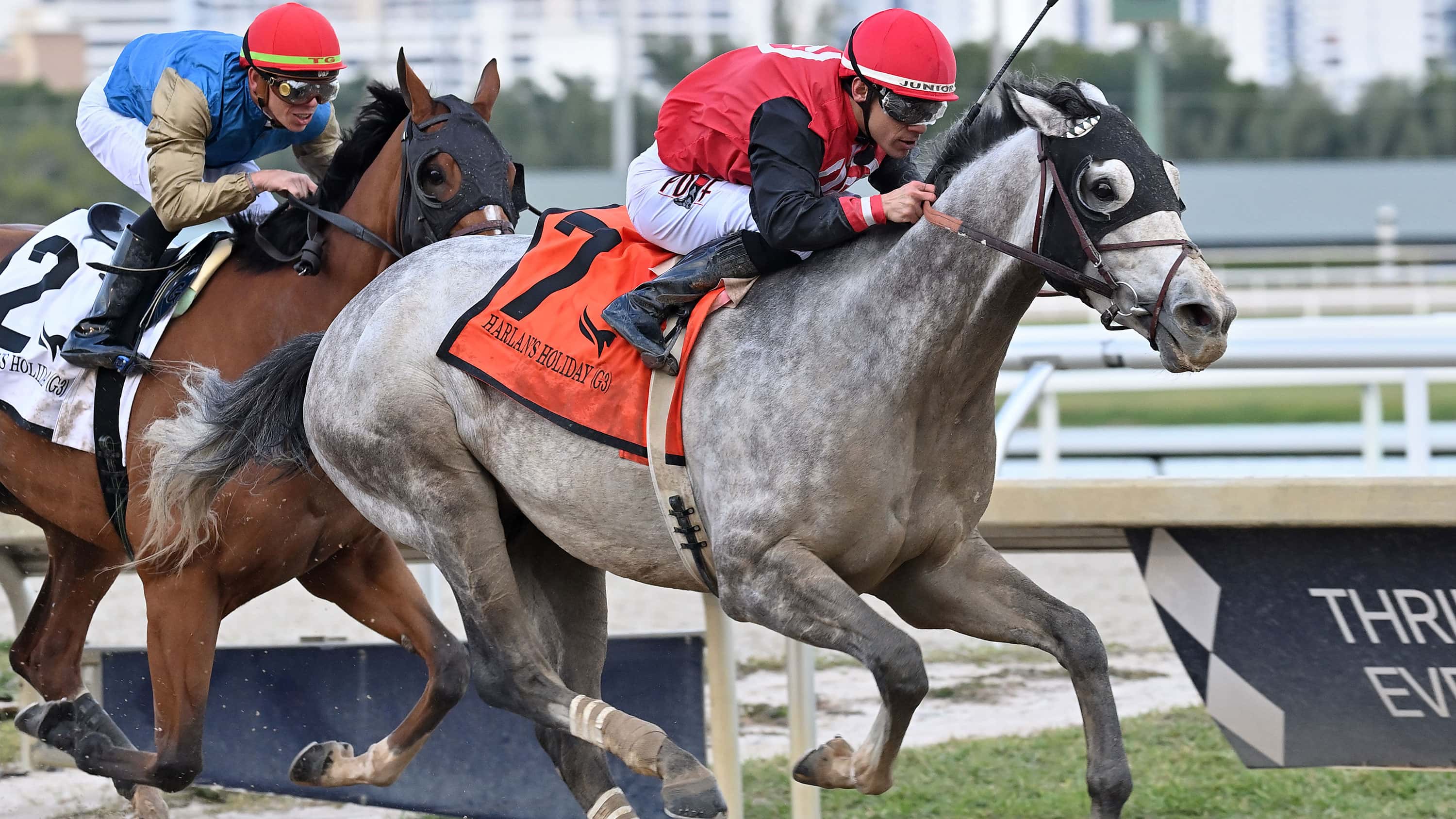 Rocket-Can-the-Harlans-Holiday-1