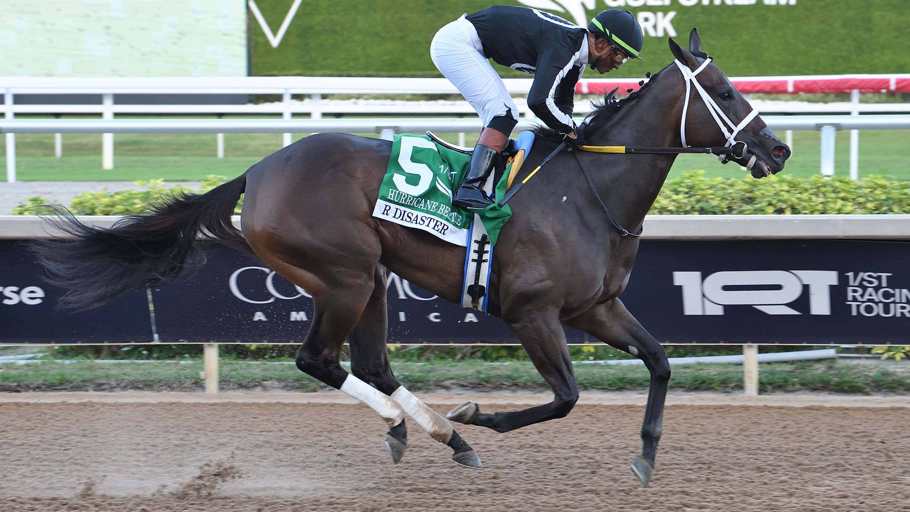 R-Disaster-the-Hurricane-Bertie