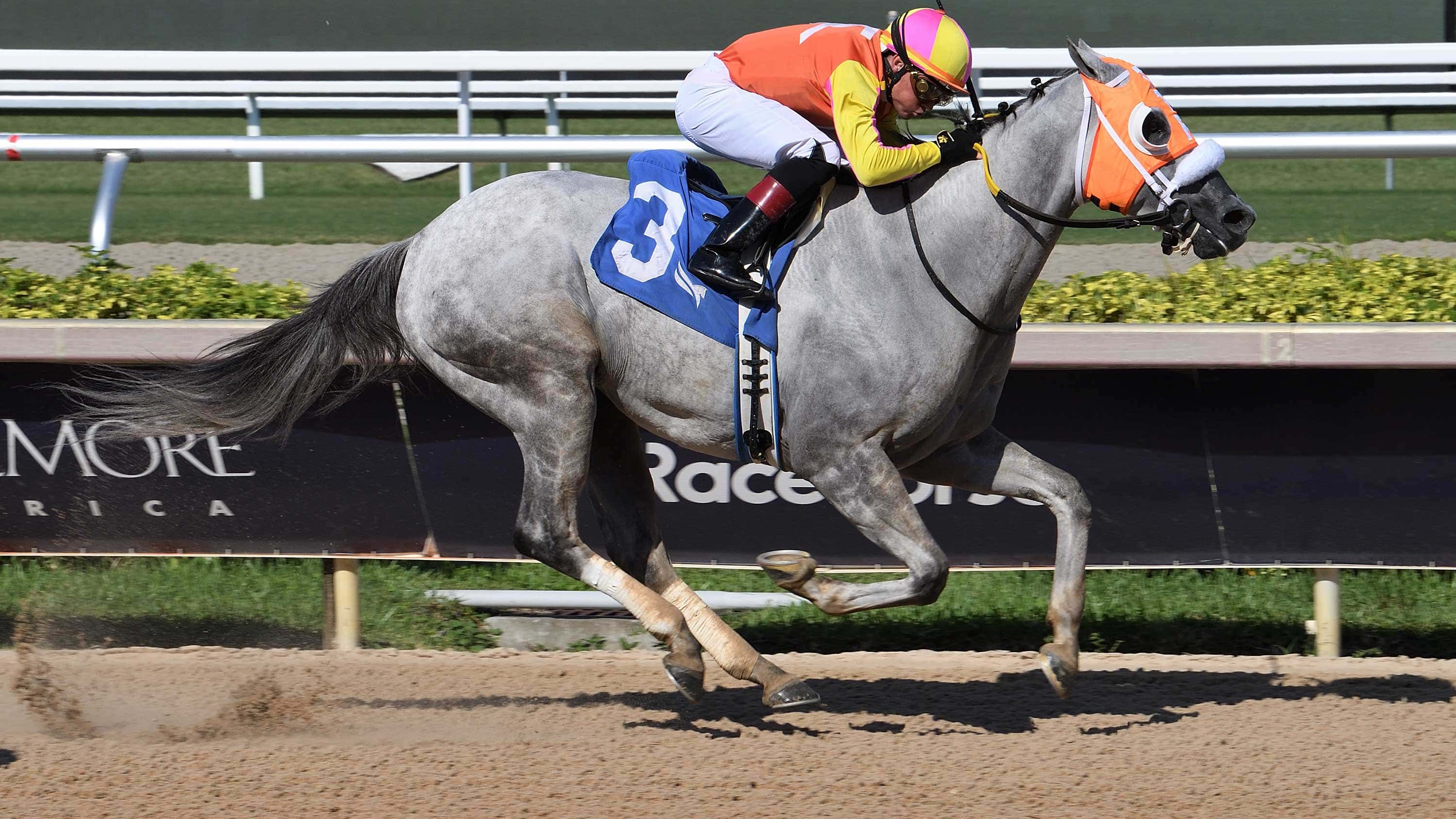 Comedy-Town-the-Smile-Sprint