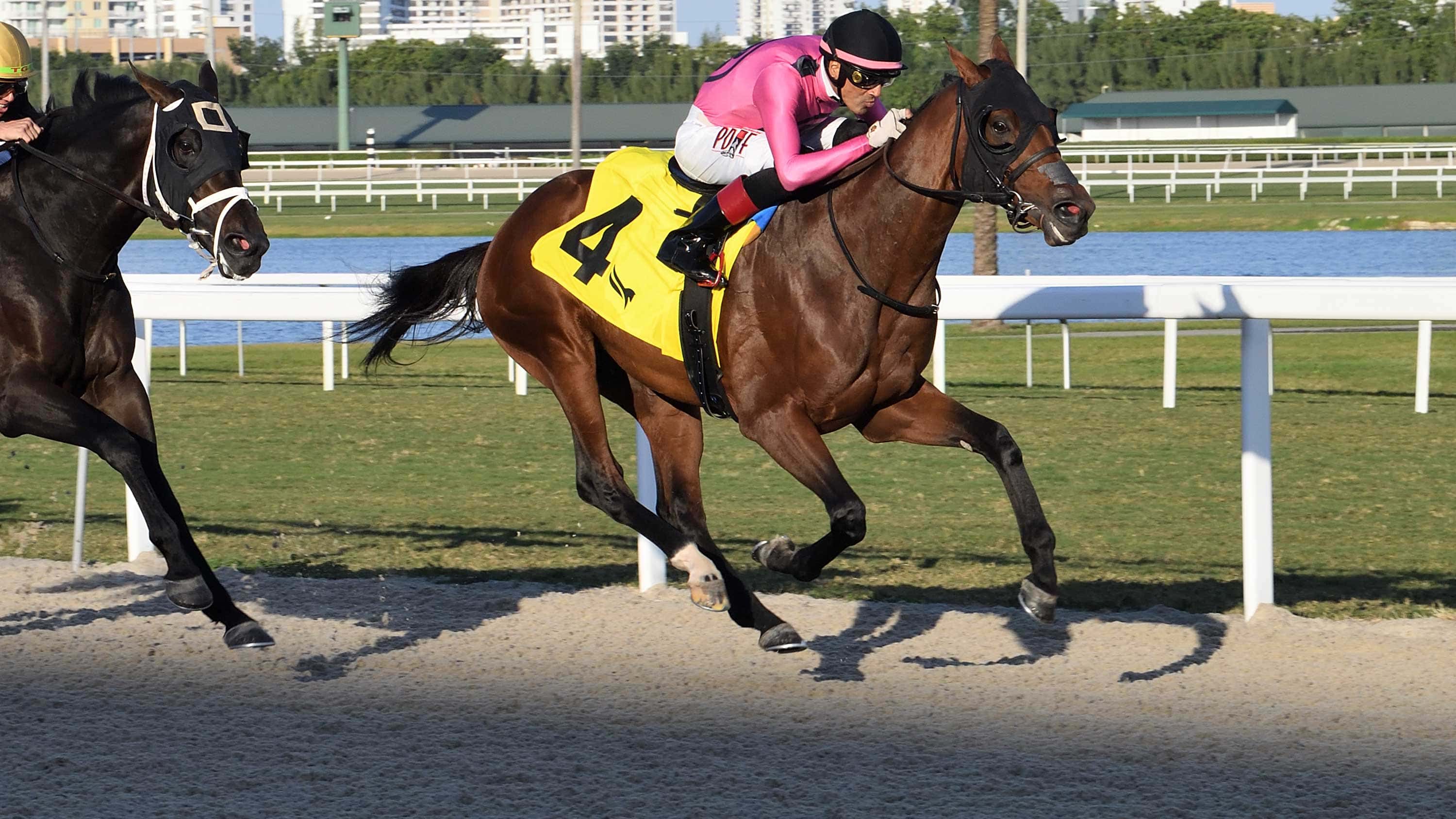 Mi-Bago-the-Dania-Beach1