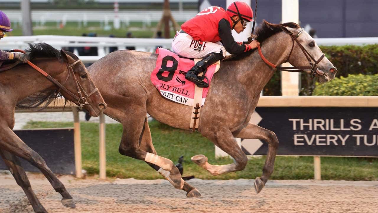 Rocket-Can-the-Holy-Bull