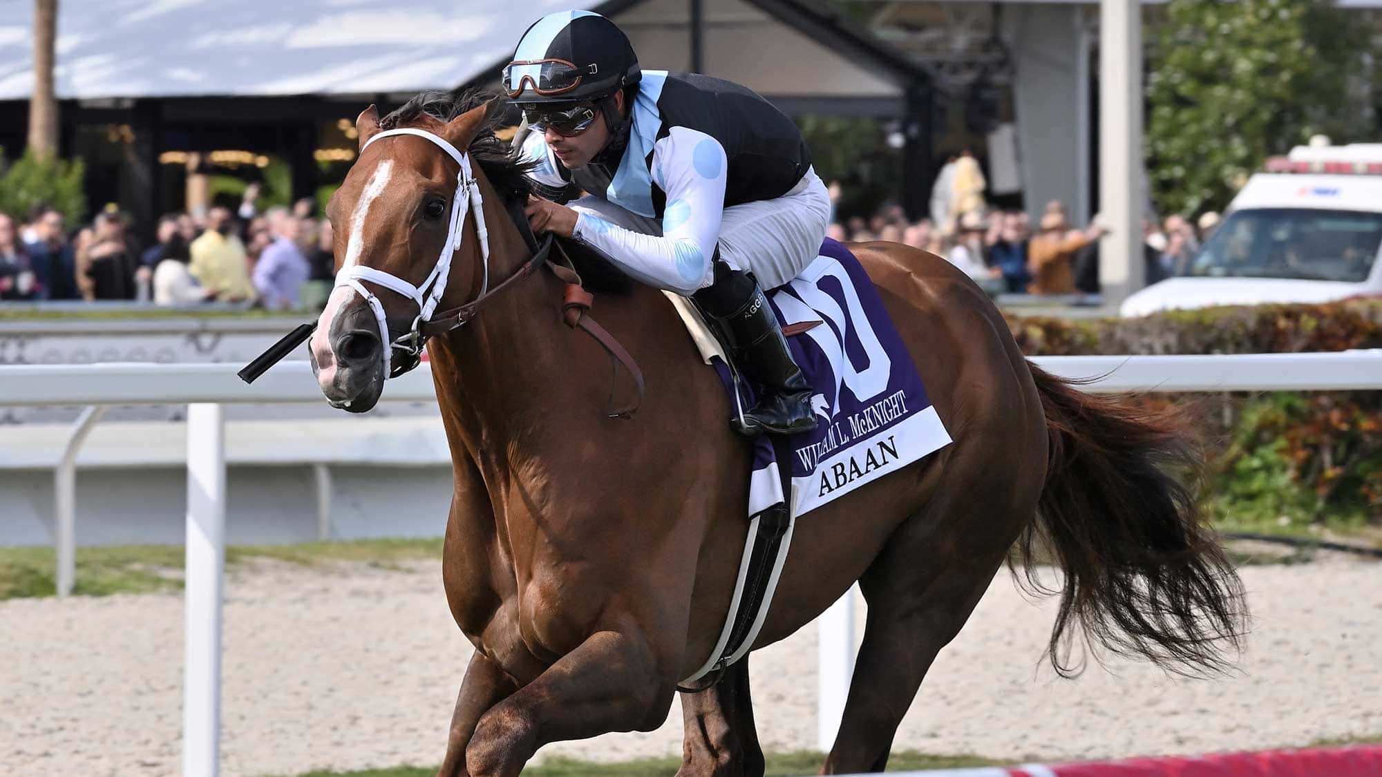 Abaan-the-WL-McKnight1