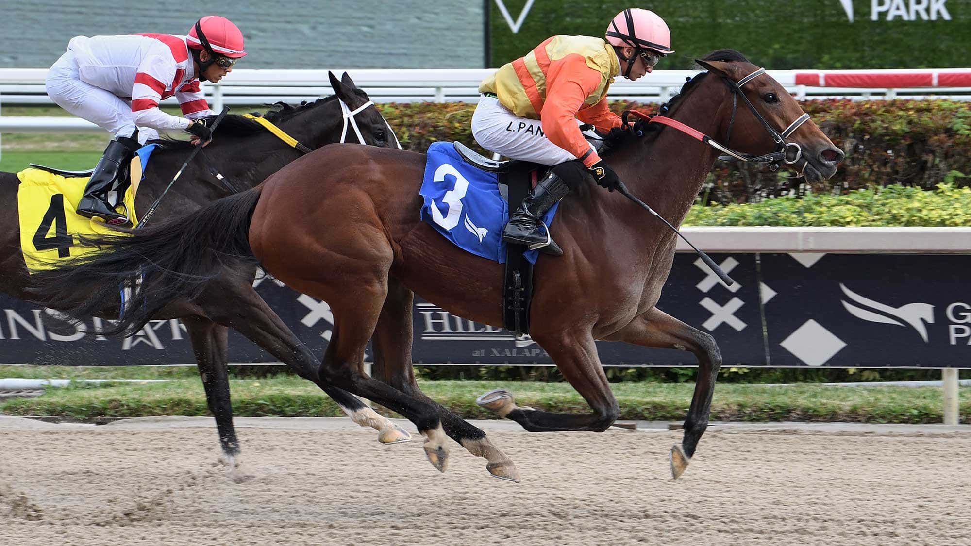 Maryquitecontrary-the-Rampart1