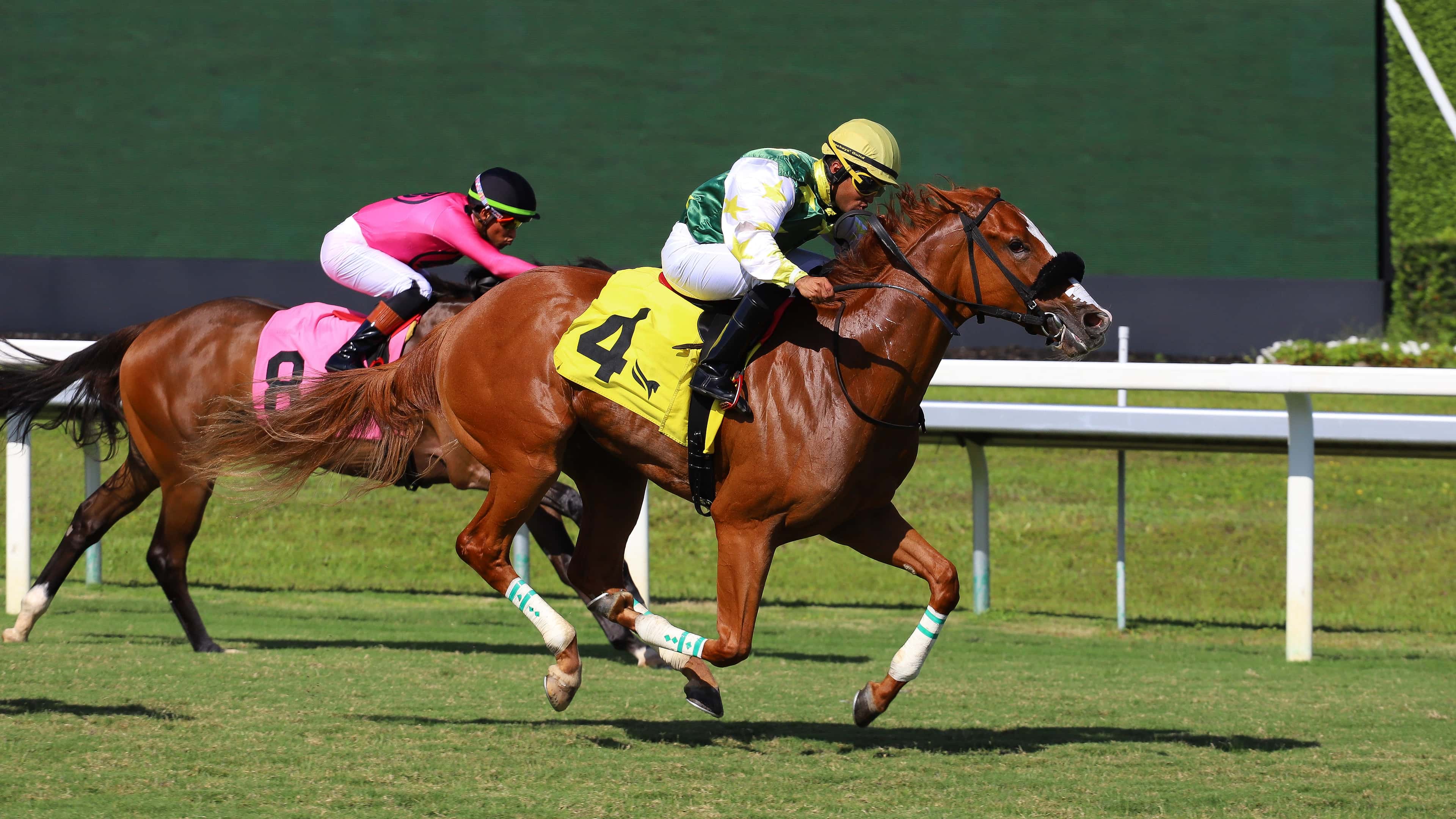 Liberty Rings se impuso de punta a punta en The Royal Palm Juvenile Fillies Stakes